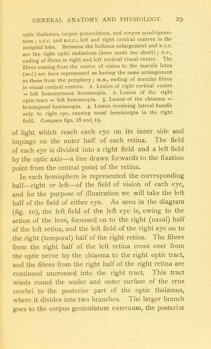 optic thalamus, corpus geniculatum, and corpus quadrigemi- num ; l.c.c. and r.c.c., left and right cortical centres in the occipital lobe. Between the bulbous enlargement and r.c.c. are the right optic radiations (here made too short) ; p.p., ending of fibres in right and left cortical visual centre. The fibres coming from the centre of vision to the macula lutea (»/./.) are here represented as having the same arrangement as those from the periphery; m.m., ending of macular fibres in visual cortical centres. I. Lesion of right cortical centre = left homonymous hemianopia. 2. Lesion of the right optic tract = left hemianopia. 3. Lesion of the chiasma = bi-temporal hemianopia. 4. Lesion involving lateral bundle only to right eye, causing nasal hemianopia in the right field. Compare figs. 18 and. 19. of light which reach each eye on its inner side and impinge on the outer half of each retina. The field of each eye is divided into a right field and a left field by the optic axis—a line drawn forwards to the fixation point from the central point of the retina. In each hemisphere is represented the corresponding half—right or left—of the field of vision of each eye, and for the purpose of illustration we will take the left half of the field of either eye. As seen in the diagram (fig. 10), the left field of the left eye is, owing to the action of the lens, focussed on to the right (nasal) half of the left retina, and the left field of the right eye on to the right (temporal) half of the right retina. The fibres from the right half of the left retina cross over from the optic nerve by the chiasma to the right optic tract, and the fibres from the right half of the right retina are continued uncrossed into the right tract. This tract winds round the under and outer surface of the crus cerebri to the posterior part of the optic thalamus, where it divides into two branches. The larger branch goes to the corpus geniculatum externum, the posterior