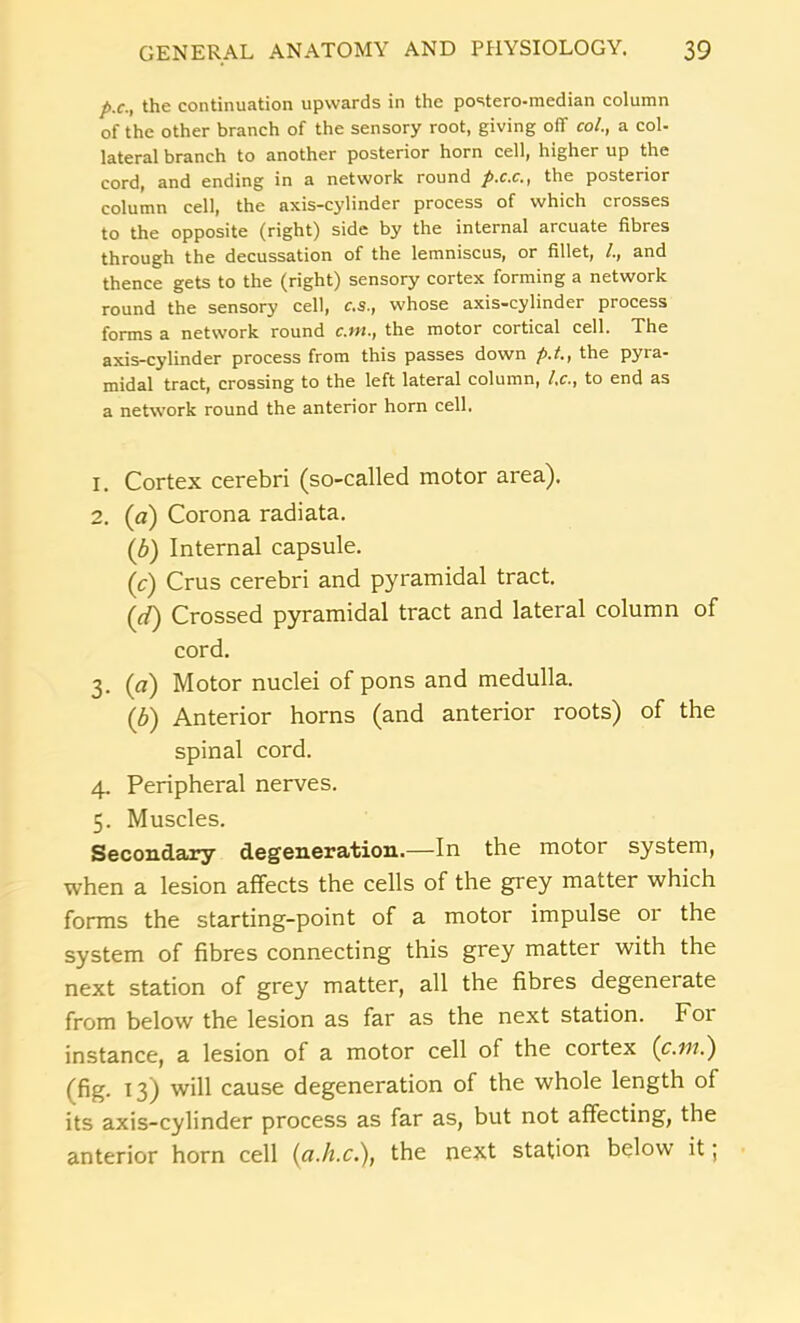 p.c., the continuation upwards in the postero-median column of the other branch of the sensory root, giving oiT col., a col- lateral branch to another posterior horn cell, higher up the cord, and ending in a network round p.c.c., the posterior column cell, the axis-cylinder process of which crosses to the opposite (right) side by the internal arcuate fibres through the decussation of the lemniscus, or fillet, and thence gets to the (right) sensory cortex forming a network round the sensory cell, c.s., whose axis-cylinder process forms a network round c.m., the motor cortical cell. The axis-cylinder process from this passes down p.t., the pyra- midal tract, crossing to the left lateral column, l.c., to end as a network round the anterior horn cell. 1. Cortex cerebri (so-called motor area). 2. (a) Corona radiata. (b) Internal capsule. (c) Crus cerebri and pyramidal tract. (d) Crossed pyramidal tract and lateral column of cord. 3. (a) Motor nuclei of pons and medulla. (6) Anterior horns (and anterior roots) of the spinal cord. 4. Peripheral nerves. 5. Muscles. Secondary degeneration.—In the motor system, when a lesion affects the cells of the grey matter which forms the starting-point of a motor impulse or the system of fibres connecting this grey matter with the next station of grey matter, all the fibres degenerate from below the lesion as far as the next station. For instance, a lesion of a motor cell of the cortex (c.111.) (fig. 13) will cause degeneration of the whole length of its axis-cylinder process as far as, but not affecting, the anterior horn cell (a.h.c.), the next station below it;