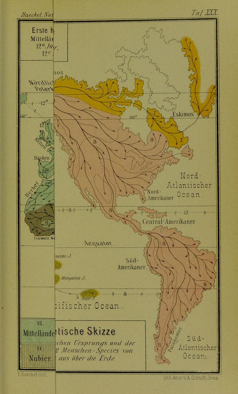 Haeckel, Nai Erste h Mitlolläi 12./// 12 c. £ --& 2- 2» ■J (V/T./ :ifiseher 0cean . 12. Mittellände Nubier. tische Skizze ■heu Ursprungs und der ° Maischen- Speeles von aus über die Erde ekel clel. Süd- ÖT/c? Atlantischer Oceam Liih Anst YÄ.Giltscti, Jena