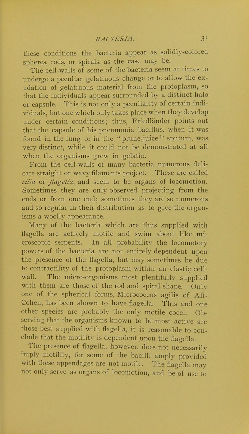 these conditions the bacteria appear as solidly-colored spheres, rods, or spirals, as the case may be. The cell-walls of some of the bacteria seem at times to tindergo a peculiar gelatinous change or to allow the ex- udation of gelatinous material from the protoplasm, so that the individuals appear surrounded by a distinct halo or capsule. This is not only a peculiarity of certain indi- viduals, but one which only takes place when they develop under certain conditions; thus, Friedlander points out that the capsule of his pneumonia bacillus, when it was found in the lung or in the prune-juice sputum, was very distinct, while it could not be demonstrated at all when the organisms grew in gelatin. From the cell-walls of many bacteria numerous deli- cate straight or wavy filaments project. These are called cilia or Jiagella., and seem to be organs of locomotion. Sometimes they are only observed projecting from the ends or from one end; sometimes they are so numerous and so regular in their distribution as to give the organ- isms a woolly appearance. Many of the bacteria which are thus supplied with flagella are actively motile and swim about like mi- croscopic serpents. In all probability the locomotory powers of the bacteria are not entirely dependent upon the presence of the flagella, but may sometimes be due to contractility of the protoplasm within an elastic cell- wall. The micro-organisms most plentifully supplied with them are those of the rod and spiral shape. Only one of the spherical forms, Micrococcus agilis of Ali- Cohen, has been shown to have flagella. This and one other species are probably the only motile cocci. Ob- serving that the organisms known to be most active are tho.se best supplied with flagella, it is reasonable to con- clude that the motility is dependent upon the flagella. The presence of flagella, however, does not necessarily imply motility, for some of the bacilli amply provided with these appendages are not motile. The flagella mav not only serve as organs of locomotion, and be of use to