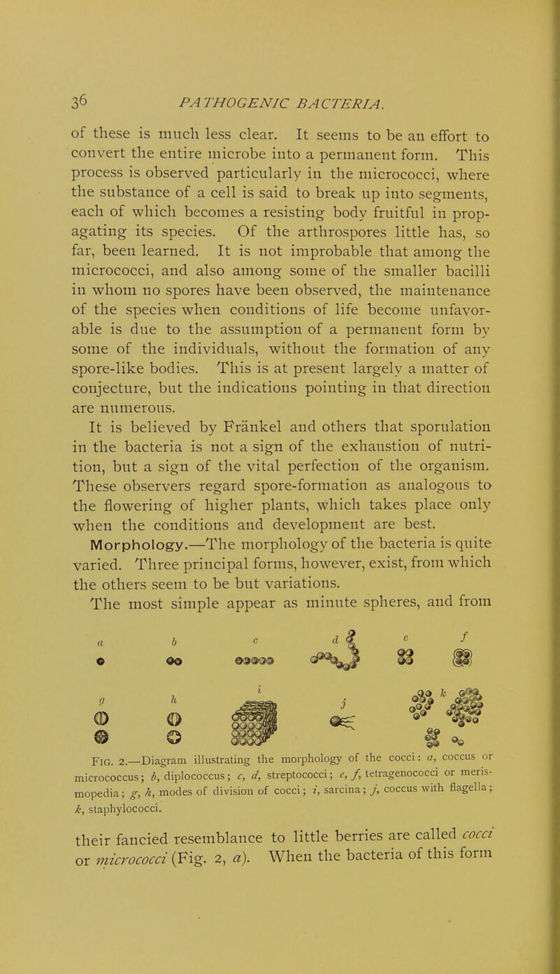 of these is much less clear. It seems to be an effort to convert the entire microbe into a permanent form. This process is observed particularly in the micrococci, where the substance of a cell is said to break up into segments, each of which becomes a resisting body fruitful in prop- agating its species. Of the arthrospores little has, so far, been learned. It is not improbable that among the micrococci, and also among some of the smaller bacilli in whom no spores have been observed, the maintenance of the species when conditions of life become unfavor- able is due to the assumption of a permanent form by some of the individuals, without the formation of any spore-like bodies. This is at present largely a matter of conjecture, but the indications pointing in that direction are numerous. It is believed by Frankel and others that sporulation in the bacteria is not a sign of the exhaustion of nutri- tion, but a sign of the vital perfection of the organism. These observers regard spore-formation as analogous to the flowering of higher plants, which takes place only when the conditions and development are best. Morphology.—The morphology of the bacteria is quite varied. Three principal forms, however, exist, from which the others seem to be but variations. The most simple appear as minute spheres, and from « 6 c / (7 3 0 C> 9^ Fig. 2.—Diagram illustrating the moi-phology of the cocci: a, coccus or micrococcus; ^, diplococcus; c, d, streptococci; ^,/, tetragenococci or meris- mopedia; g, h, modes of division of cocci; i, sarcina; j, coccus with flagella; k, staphylococci. their fancied resemblance to little berries are called cocci or micrococci (Fig. 2, a). When the bacteria of this form