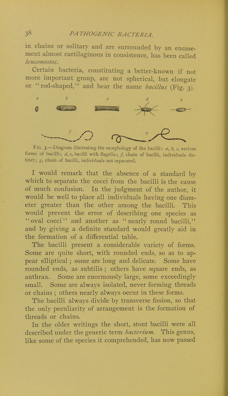 in chains or solitary and are surrounded by an encase- ment almost cartilaginous in consistence, lias been called leuconostoc. Certain bacteria, constituting a better-known if not more important group, are not spherical, but elongate or rod-shaped, and bear the name bacillus (Fig. 3). / ) FIG. 3.—Diagram illustrating the morphology of the bacilli: a, b, c, various forms of bacilli; d, e, bacilli with flagella; / chain of bacilli, individuals dis- tinct; g, chain of bacilli, individuals not separated. I would remark that the absence of a standard by which to separate the cocci from the bacilli is the cause of much confusion. In the judgment of the author, it would be well to place all individuals having one diam- eter greater than the other among the bacilli. This would prevent the error of describing one species as oval cocci and another as nearly round bacilli, and by giving a definite standard would greatly aid in the formation of a differential table. The bacilli present a considerable variety of forms. Some are quite short, with rounded ends, so as to ap- pear elliptical ; some are long and delicate. Some have rounded ends, as subtilis ; others have square ends, as anthrax. Some are enormously large, some exceedingly small. Some are always isolated, never forming threads or chains ; others nearly always occur in these forms. The bacilli always divide by transverse fission, so that the only peculiarity of arrangement is the formation of threads or chains. In the older writings the short, stout bacilli were all described under the generic term bacteHum. This genus, like some of the species it comprehended, has now passed
