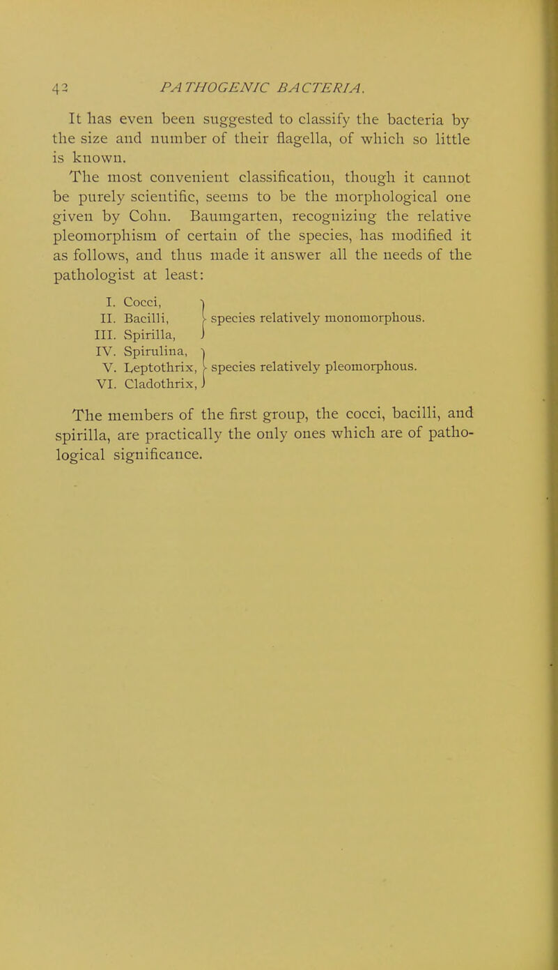 It has even been suggested to classify the bacteria by the size and number of their flagella, of which so little is known. The most convenient classification, though it cannot be purely scientific, seems to be the morphological one given by Cohn. Bainngarten, recognizing the relative pleomorphism of certain of the species, has modified it as follows, and thus made it answer all the needs of the pathologist at least: I. Cocci, 1 II. Bacilli, \ species relatively monomorplious. III. Spirilla, J The members of the first group, the cocci, bacilli, and spirilla, are practically the only ones which are of patho- logical significance.