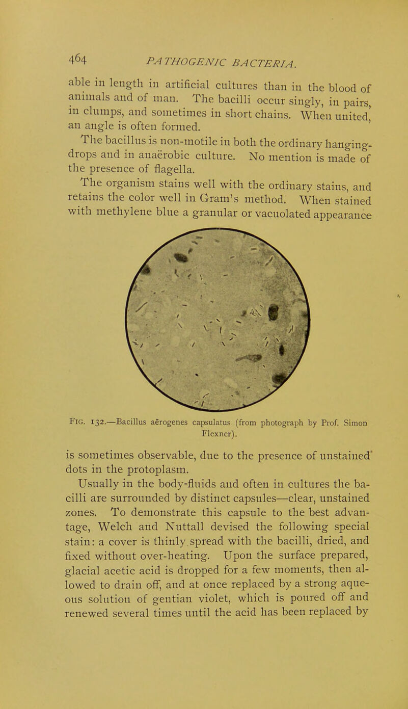 able in length in artificial cultures than in the blood of animals and of man. The bacilli occur singly, in pairs, in clumps, and sometimes in short chains. When united* an angle is often formed. ' The bacillus is non-motile in both the ordinary hanging- drops and in anaerobic culture. No mention is made of the presence of flagella. The organism stains well with the ordinary stains, and retains the color well in Gram's method. When stained with methylene blue a granular or vacuolated appearance Fig. 132.—Bacillus aerogenes capsulatus (from photograph by Prof. Simon Flexner). is sometimes observable, due to the presence of unstained dots in the protoplasm. Usually in the body-fluids and often in cultures the ba- cilli are surrounded by distinct capsules—clear, unstained zones. To demonstrate this capsule to the best advan- tage, Welch and Nuttall devised the following special stain: a cover is thinly spread with the bacilli, dried, and fixed without over-heating. Upon the surface prepared, glacial acetic acid is dropped for a few moments, then al- lowed to drain off, and at once replaced by a strong aque- ous solution of gentian violet, which is poured off and renewed several times until the acid has been replaced by