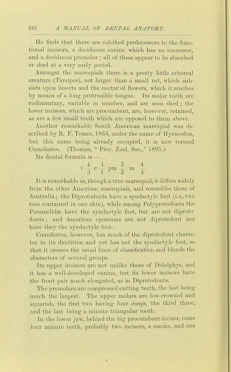 He finds that there are calcified predecessors to the func- tional incisors, a deciduous canine which has no successor, and a deciduous premolar ; all of these appear to be absorbed or shed at a very early period. Amongst the marsupials there is a pretty little arboreal creature (Tarsipes), not larger than a small rat, which sub- sists upon insects and the nectar of flowers, which it reaches by means of a long protrusible tongue. Its molar teeth are rudimentary, variable in number, and are soon shed; the lower incisors, which are procumbent, are, however, retained, as are a few small teeth which are opposed to them above. Another remarkable South American marsupial was de- scribed by R. F. Tomes, 1863, under the name of Hyracodon, but this name being already occupied, it is now termed Coenolestes. (Thomas, “ Proc. Zool. Soc.,” 1895.) Its dental formula is — .41 3 4 3 1^3 4 It is remarkable as, though a true marsupial, it differs widely from the other American marsupials, and resembles those of Australia; the Diprotodonts have a syndactyle foot (i.e., two toes contained in one skin), while among Polyprotodonts the Peramelidse have the syndactyle foot, but are not diproto- donts ; and American opossums are not diprotodont nor have they the syndactyle foot. Coenolestes, however, has much of the diprotodont charac- ter in its dentition and yet has not the syndactyle foot, so that it crosses the usual lines of classification and blends the characters of several groups. Its upper incisors are not iinlike those of Didelphys, and it has a well-developed canine, but its lower incisors have the front pair much elongated, as in Diprotodonts. The j)remolars are compressed cutting teeth, the last being much the largest. The upper molars are low-crowned and squarish, the first two having four cusps, the third three, and the last being a minute triangular tooth. Ill the lower jaw, behind the big procumbent incisor, come four minute teeth, jai'obably two incisors, a canine, and one