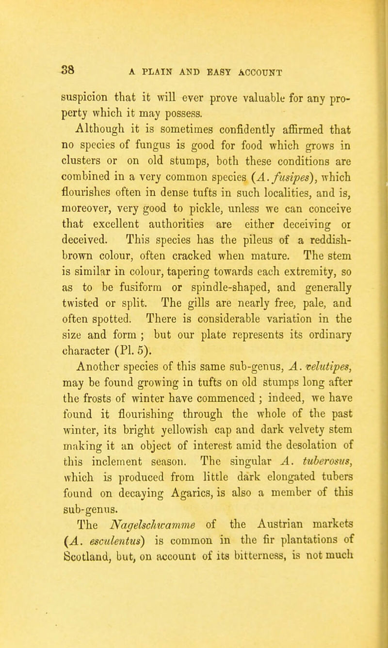 28 suspicion that it will ever prove valuable for any pro- perty which it may possess. Although it is sometimes confidently affirmed that no species of fungus is good for food which grows in clusters or on old stumps, both these conditions are combined in a very common species (A.fusipes), which flourishes often in dense tufts in such localities, and is, moreover, very good to pickle, unless we can conceive that excellent authorities are either deceiving or deceived. This species has the pileus of a reddish- brown colour, often cracked when mature. The stem is similar in colour, tapering towards each extremity, so as to be fusiform or spindle-shaped, and generally twisted or split. The gills are nearly free, pale, and often spotted. There is considerable variation in the size and form ; but our plate represents its ordinary character (PI. 5). Another species of this same sub-genus, A. velutipes, may be found growing in tufts on old stumps long after the frosts of winter have commenced ; indeed, we have found it flourishing through the whole of the past winter, its bright yellowish cap and dark velvety stem making it an object of interest amid the desolation of this inclement season. The singular A. tuberosns, which is produced from little dark elongated tubers found on decaying Agarics, is also a member of this Bub-genus. The Nagelsclncamme of the Austrian markets {A. esculentus) is common in the fir plantations of Scotland, but, on account of its bitterness, is not much