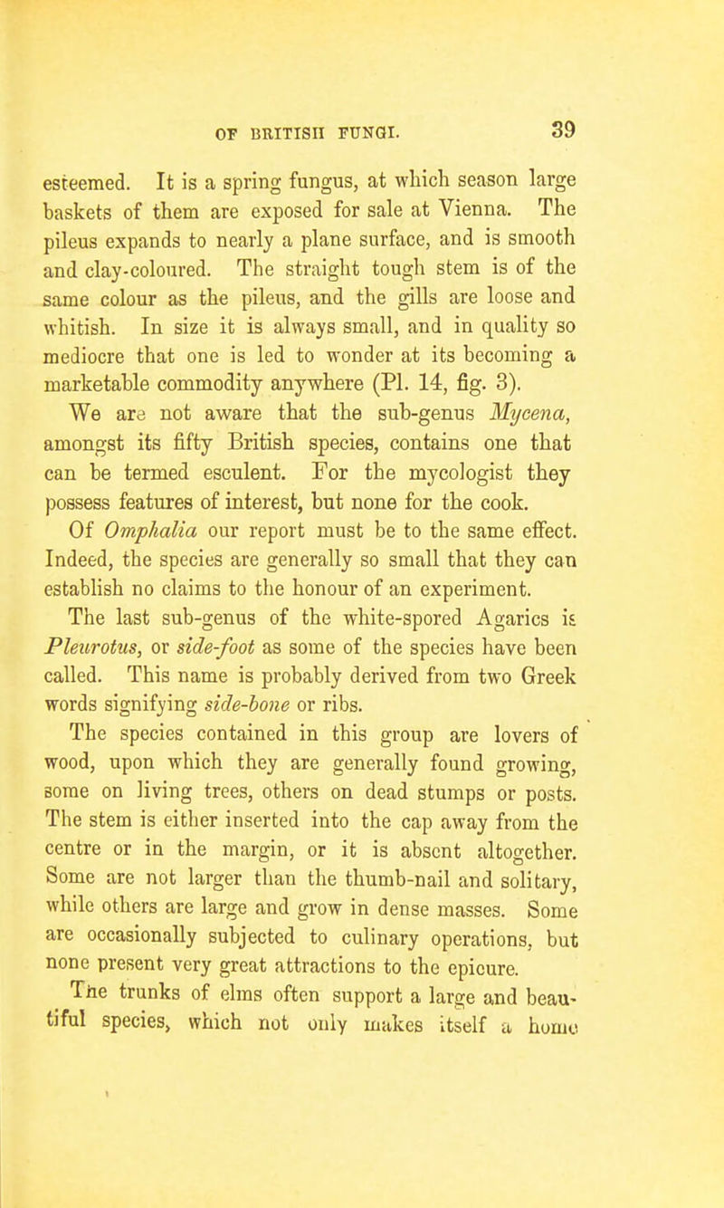 esteemed. It is a spring fungus, at which season large baskets of them are exposed for sale at Vienna. The pileus expands to nearly a plane surface, and is smooth and clay-coloured. The straight tough stem is of the same colour as the pileus, and the gills are loose and whitish. In size it is always small, and in quality so mediocre that one is led to wonder at its becoming a marketable commodity anywhere (PI. 14, fig. 3). We are not aware that the sub-genus Mycena, amongst its fifty British species, contains one that can be termed esculent. For the mycologist they possess features of interest, but none for the cook. Of Omphalia our report must be to the same effect. Indeed, the species are generally so small that they can establish no claims to the honour of an experiment. The last sub-genus of the white-spored Agarics is Pleurotus, or side-foot as some of the species have been called. This name is probably derived from two Greek words signifying side-hone or ribs. The species contained in this group are lovers of wood, upon which they are generally found growing, some on living trees, others on dead stumps or posts. The stem is either inserted into the cap away from the centre or in the margin, or it is absent altogether. Some are not larger than the thumb-nail and solitary, while others are large and grow in dense masses. Some are occasionally subjected to culinary operations, but none present very great attractions to the epicure. The trunks of elms often support a large and beau- tiful species, which not only makes itself a homo 1
