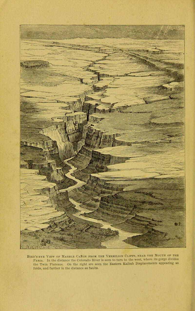 UD's-EYE View of Mahbi.e CaSon fiiom the Vermilion Cliffs, near the Mouth of the Paria. In the distance the Colorado River is seen to turn to the west, wliere its gorge divides the Twin Plateaus. On tlio right are seen the Eaetem Kaibab Displacements appearing as folds, and farther in the distance as faults.