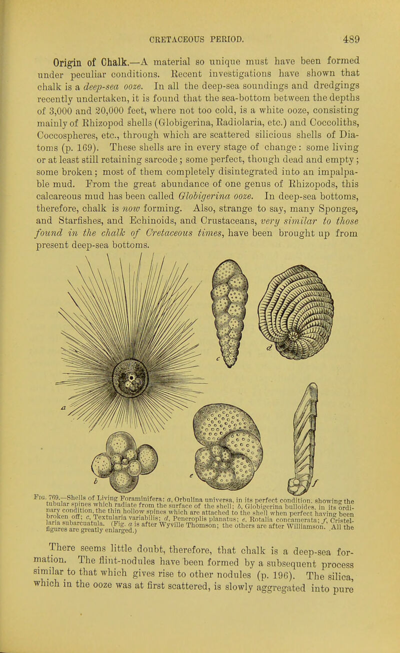 Origin of Chalk.—A material so unique must have been formed under peculiar conditions. Kecent investigations have shown that chalk is a deep-sea ooze. In all the deep-sea soundings and dredgings recently undertaken, it is found that the sea-bottom between the depths of 3,000 and 20,000 feet, where not too cold, is a white ooze, consisting mainly of Khizopod shells (Globigerina, Radiolaria, etc.) and Coccoliths, Coccospheres, etc., through which are scattered silicious shells of Dia- toms (p. 1C9). These shells are in every stage of change : some living or at least still retaining sarcode ; some perfect, though dead and empty ; some broken: most of them completely disintegrated into an impalpa- ble mud. Prom the great abundance of one genus of Rhizopods, this calcareous mud has been called Ololigerina ooze. In deep-sea bottoms, therefore, chalk is noiu forming. Also, strange to say, many Sponges, and Starfishes, and Echinoids, and Crustaceans, ver-y similar to those found in the chalk of Cretaceous times, have been brought up from present deep-sea bottoms. ^^vIl^T^'*^''^ Foraminifera: a, Orbulina universa. in its perfect condition, showing the !, ,Pv f Tr''Tl^'l-uff'^''''™.'''''^'^<^^°*' the shell; «, Globi<rerina bulloirles. In its ordi. I rnLn nff''T-n^''^'^'?'>°''°^T'^ ''^''^^ are attached to the sheTl when perfect liavinR been broken off; c Textularia variabilis; d. Pencroplis planatiis; e. Kotalia concamerata- /• Cri»tel SeTarc^^eatl^illa^ledi ^^^^^ '^ '^^ Williamsori{^ Aul^l There seems little doubt, therefore, that chalk is a deep-sea for- mation. The flint-nodules have been formed by a subsequent process simdar to that which gives rise to other nodules (p. 196). The silica, which in the ooze was at first scattered, is slowly aggregated into pure