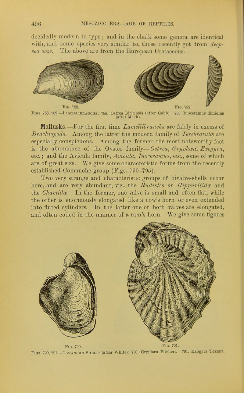 decidedly modern in type ; and in the chalk some genera are identical with, and some species very similar to, those recently got from deep- sea ooze. The above are from the European Cretaceous. Figs. 788, 789.—Lamellibranchs; 788. Ostrea IdriaaiiBis (after Gabb). 789. Inoceramu6 dimidiuB (after Meek). Mollusks.—For the first time Lamellibranchs are fairly in excess of Brachiopods. Among the latter the modern family of Tereiratulm are especially conspicuous. Among the former the most noteworthy fact is the abundance of the Oyster family—Ostrea, Gryplma, Exogyra, etc.; and the Avicula family, Avicula, Inoceraynus, etc., some of which are of great size. We give some characteristic forms from the recently established Comanche group (Figs. 790-795). Two very strange and characteristic groups of bivalve-shells occur here, and are very abundant, viz., the Rudistes or Hippuritidce and the ChaviidcB. In the former, one valve is small and often flat, while the other is enormously elongated like a cow's horn or even extended into fluted cylinders. In the latter one or both valves are elongated, and often coiled in the manner of a ram's horn. We give some flgures Fio. 790. F'G- Fios. 790, 791.—Comanche Shells (after White): 790. Gryphioa Pitcheri. 791. Esogyra Tcsana.