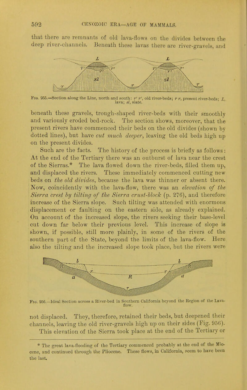 that there are remnants of old lava-Hows on the divides between the deep river-cluumels. Beneath these lavas there are river-gravels, and FiQ. 955.—Section along the Line, north and south: r' r', old river-beds; r r, present river-beds* L. lava; si, slate. ' beneath these gravels, trough-shaped river-beds with their smoothly and variously eroded bed-rock. The section shows, moreover, that the present rivers have commenced their beds on the old divides (shown by dotted lines), but have citt much deeper, leaving the old beds high up on the present divides. Such are the facts. The history of the process is briefly as follows: At the end of the Tertiary there was an outburst of lava near the crest of the Sierras.* The lava flowed down the river-beds, filled them up, and displaced the rivers. These immediately commenced cutting new beds on the old divides, because the lava was thinner or absent there. Now, coincidently with the lava-flow, there was an elevation of the Sierra crest by tilting of the Sierra crust-Uoch (p. 276), and therefore increase of the Sierra slope. Such tilting was attended with enormous displacement or faulting on the eastern side, as already explained. On account of the increased slope, the rivers seeking their base-level cut down far below their previous level. This increase of slope is shown, if possible, still more plainly, in some of the rivers of the southern part of the State, beyond the limits of the lava-flow. Here also the tilting and the increased slope took place, but the rivers were Fig. 956.—Ideal Section across a River-bed in Southern California beyond the Region of the Lava- flow. not displaced. They, therefore, retained their beds, but deepened their channels, leaving the old river-gravels high up on their sides (Fig. 9oG). This elevation of the Sierra took place at the end of the Tertiary or * The great lava-flooding of the Tertiary commenced probably at the end of the Mio- cene, and continued through the Pliocene. These flows, in California, .'<ecm to have been the last.