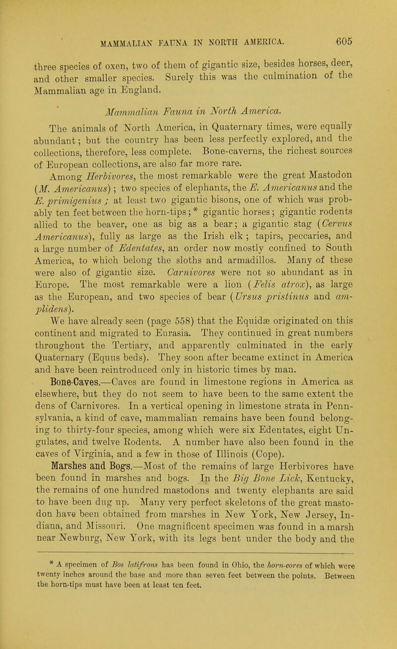 three species of oxen, two of them of gigantic size, besides horses, deer, and other smaller species. Surely this was the culmination of the Mammalian age in England. Mammalian Fauna in North America. The animals of North America, in Quaternary times, were equally abundant; but the country has been less perfectly explored, and the collections, therefore, less complete. Bone-caverns, the richest sources of European collections, are also far more rare. Among Herbivores, the most remarkable were the great Mastodon {M. Americanus); two species of elephants, the E. Americanus and the E. primigenius ; at least two gigantic bisons, one of which was prob- ably ten feet between tlie horn-tips; * gigantic horses; gigantic rodents allied to the beaver, one as big as a bear; a gigantic stag (Cervus Americanus), fully as large as the Irish elk ; tapirs, peccaries, and a large number of Edentates, an order now mostly confined to South America, to which belong the sloths and armadillos. Many of these were also of gigantic size. Carnivores were not so abundant as in Europe. The most remarkable were a lion {Felis atrox), as large as the European, and two species of bear (Ursus pristinus and am- plidens). We have already seen (page 558) that the Equidse originated on this continent and migrated to Eurasia. They continued in great numbers throughout the Tertiary, and apparently culminated in the early Quaternary (Equus beds). They soon after became extinct in America and have been reintroduced only in historic times by man. Bone-Caves.—Caves are found in limestone regions in America as elsewhere, but they do not seem to have been to the same extent the dens of Carnivores. In a vertical opening in limestone strata in Penn- sylvania, a kind of cave, mammalian remains have been found belong- ing to thirty-four species, among which were six Edentates, eight Un- gulates, and twelve Rodents. A number have also been found in the caves of Virginia, and a few in those of Illinois (Cope). Marshes and Bogs.—Most of the remains of large Herbivores have been found in marshes and bogs. In the Big Bone Lick, Kentucky, the remains of one hundred mastodons and twenty elephants are said to have been dug up. Many very perfect skeletons of the great masto- don have been obtained from marshes in New York, New Jersey, In- diana, and Missouri. One magnificent specimen was found in a marsh near Newburg, New York, with its legs bent under the body and the * A specimen of Bos lalifrom has been found in Ohio, the horn-cores of which were twenty inches around the base and more than seven feet between the points. Between the horn-tips must have been at least ten feet.