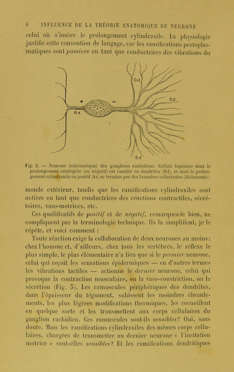 celui où s'insère le prolongement cylindraxile. La physiologie justifie celle convention de langage, car les ramifications protoplas- matiques sont passives en tant que conductrices des vibrations du Fig. 2. — Neurone (schématique) des ganglions rachidiens. Cellule bipolaire dont le prolongement centripète (ou négatif) est ramifié eu dendrites (Dd), et dont le prolon- gement cylindraxile ou positif (Ax) se termine par des branches collatérales (dichotomie;. monde extérieur, tandis que les ramifications cylindraxiles sont actives en tant que conductrices des réactions contractiles, sécré- toires, vaso-motrices, etc. Ces qualificatifs de positif et de négatif, remarquez-le bien, ne compliquent pas la terminologie technique. Ils la simplifient, je le répète, et voici comment : Toute réaction exige la collaboration de deux neurones au moins; chez l'homme et, d'ailleurs, chez tous les vertébrés, le réflexe le plus simple, le plus élémentaire n'a lieu que si le premier neurone, celui qui reçoit les sensations épidermiques — en d'autres termes les vibrations tactiles — actionne le dernier neurone, celui qui provoque la contraction musculaire, ou la vasoconstriction, ou la sécrétion (Fig. 3). Les ramusculcs périphériques des dendrites, dans l'épaisseur du tégument, subissent les moindres ébranle- ments, les plus légères modifications thermiques, les recueillent en quelque sorte et les transmettent aux corps cellulaires du ganglion rachidien. Ces ramusculcs sont-ils sensibles^ Oui, sans doute. Mais les ramifications cylindraxiles des mêmes corps cellu- laires, chargées de transmettre au dernier neurone « l'incitation motrice » sont-elles sensibles'! Et les ramifications dendriliques