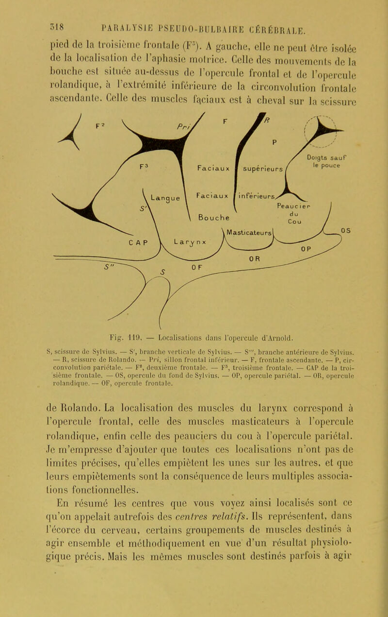 pierl de la troisième frontale (F8). A gauche, elle ne peut être isolée de la localisation de l'aphasie motrice. Celle des mouvements de la bouche est située au-dessus de l'opercule frontal et de l'opercule rolandique, à l'extrémité inférieure de la circonvolution frontale ascendante. Celle des muscles faciaux est à cheval sur la scissure 119. — Localisations dans l'opercule d'Arnold. S, scissure de Sylvius. — S', branche verticale de Sylvius. — S', branche antérieure de Sylvius. — R, scissure de Holando. — Prt, sillon frontal inférieur. — F, frontale ascendante. — P, cir- convolution pariétale. — F!, deuxième frontale. — F3, troisième frontale. — CAP de la troi- sième frontale. — OS, opercule du fond de Sylvius. — OP, opercule pariétal. — Oïl, opercule rolandique. — OF, opercule frontale. de Rolando. La localisation des muscles du larynx correspond à l'opercule frontal, celle des muscles masticateurs à l'opercule rolandique, enfin celle des peauciers du cou à l'opercule pariétal. Je m'empresse d'ajouter que toutes ces localisations n'ont pas de limites précises, qu'elles empiètent les unes sur les autres, et que leurs empiétements sont la conséquence de leurs multiples associa- lions fonctionnelles. En résumé les centres que vous voyez ainsi localisés sonl ce qu'on appelait autrefois des centres relatifs. Ils représentent, dans l'écorce du cerveau, certains groupements de muscles destinés à agir ensemble et méthodiquement en \ue d'un résultat physiolo- gique précis. Mais les mêmes muscles sont destinés parfois à agir