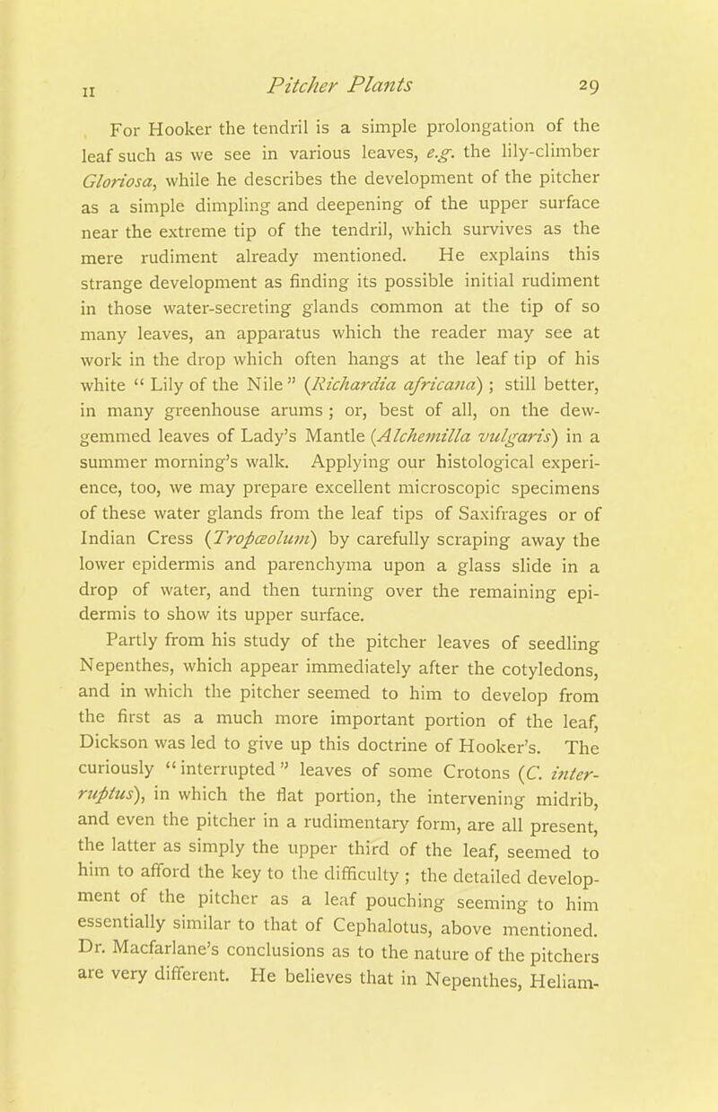 For Hooker the tendril is a simple prolongation of the leaf such as we see in various leaves, e.g. the lily-climber Gloriosa, while he describes the development of the pitcher as a simple dimpling and deepening of the upper surface near the extreme tip of the tendril, which sui-vives as the mere rudiment already mentioned. He explains this strange development as finding its possible initial rudiment in those water-secreting glands common at the tip of so many leaves, an apparatus which the reader may see at work in the drop which often hangs at the leaf tip of his white  Lily of the Nile  (lUchardia africand); still better, in many greenhouse arums ; or, best of all, on the dew- gemmed leaves of Lady's Mantle {Alchemilla vulgaris) in a summer morning's walk. Applying our histological experi- ence, too, we may prepare excellent microscopic specimens of these water glands from the leaf tips of Saxifrages or of Indian Cress {Tropceoluni) by carefully scraping away the lower epidermis and parenchyma upon a glass slide in a drop of water, and then turning over the remaining epi- dermis to show its upper surface. Partly from his study of the pitcher leaves of seedling Nepenthes, which appear immediately after the cotyledons, and in which the pitcher seemed to him to develop from the first as a much more important portion of the leaf, Dickson was led to give up this doctrine of Hooker's. The curiously  interrupted leaves of some Crotons (C. ititer- rufitus), in which the flat portion, the intervening midrib, and even the pitcher in a rudimentaiy form, are all present, the latter as simply the upper third of the leaf, seemed to him to afford the key to the difficulty ; the detailed develop- ment of the pitcher as a leaf pouching seeming to him essentially similar to that of Cephalotus, above mentioned. Dr. Macfarlane's conclusions as to the nature of the pitchers are very different. He believes that in Nepenthes, Heliam-