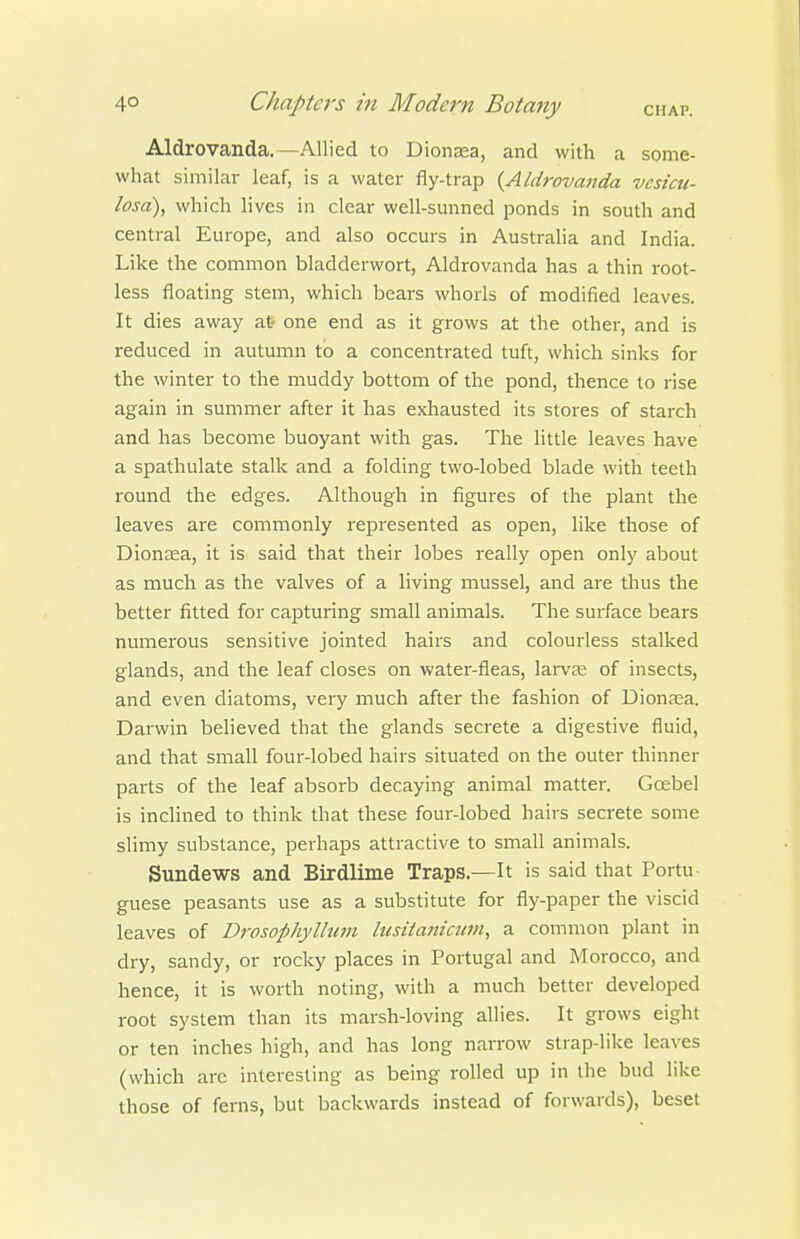 Aldrovanda.—Allied to Dionaea, and with a some- what similar leaf, is a water fly-trap {Aldrovanda vesicu- losa), which lives in clear well-sunned ponds in south and central Europe, and also occurs in Australia and India. Like the common bladderwort, Aldrovanda has a thin root- less floating stem, which bears whorls of modified leaves. It dies away at one end as it grows at the other, and is reduced in autumn to a concentrated tuft, which sinks for the winter to the muddy bottom of the pond, thence to rise again in summer after it has exhausted its stores of starch and has become buoyant with gas. The little leaves have a spathulate stalk and a folding tvvo-lobed blade with teeth round the edges. Although in figures of the plant the leaves are commonly represented as open, like those of Dionasa, it is said that their lobes really open only about as much as the valves of a living mussel, and are thus the better fitted for capturing small animals. The surface bears numerous sensitive jointed hairs and colourless stalked glands, and the leaf closes on water-fleas, larvae of insects, and even diatoms, very much after the fashion of Dionsa. Darwin believed that the glands secrete a digestive fluid, and that small four-lobed hairs situated on the outer thinner parts of the leaf absorb decaying animal matter. Gcebel is inclined to think that these four-lobed hairs secrete some slimy substance, perhaps attractive to small animals. Sundews and Birdlime Traps.—It is said that Portu- guese peasants use as a substitute for fly-paper the viscid leaves of Drosophyllwn lusitanicum, a common plant in dry, sandy, or rocky places in Portugal and Morocco, and hence, it is worth noting, with a much better developed root system than its marsh-loving allies. It grows eight or ten inches high, and has long narrow strap-like leaves (which arc interesting as being rolled up in the bud like those of ferns, but backwards instead of forwards), beset