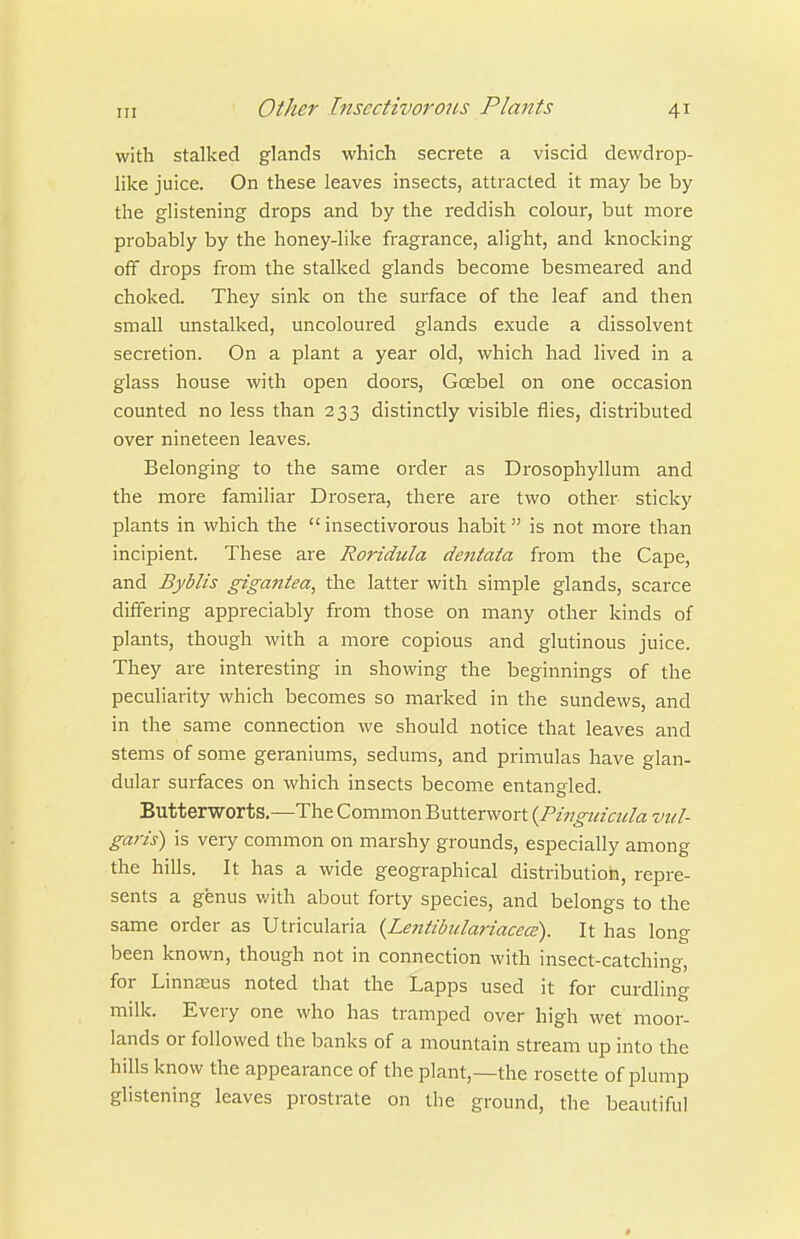 with stalked glands which secrete a viscid dewdrop- like juice. On these leaves insects, attracted it may be by the glistening drops and by the reddish colour, but more probably by the honey-like fragrance, alight, and knocking off drops from the stalked glands become besmeared and choked. They sink on the surface of the leaf and then small unstalked, uncoloured glands exude a dissolvent secretion. On a plant a year old, which had lived in a glass house with open doors, Goebel on one occasion counted no less than 233 distinctly visible flies, distributed over nineteen leaves. Belonging to the same order as Drosophyllum and the more familiar Drosera, there are two other sticky plants in which the insectivorous habit is not more than incipient. These are Roridula dentata from the Cape, and Byblis gigantea, the latter with simple glands, scarce differing appreciably from those on many other kinds of plants, though with a more copious and glutinous juice. They are interesting in showing the beginnings of the peculiarity which becomes so marked in the sundews, and in the same connection we should notice that leaves and stems of some geraniums, sedums, and primulas have glan- dular surfaces on which insects become entangled. Butterworts.—The Common Butterwort {Pijjgmcula vul- garis) is very common on marshy grounds, especially among the hills. It has a wide geographical distribution, repre- sents a genus with about forty species, and belongs to the same order as Utricularia {Le7tiibulariacecs). It has long been known, though not in connection with insect-catching, for LinnEEus noted that the Lapps used it for curdling milk. Every one who has tramped over high wet moor- lands or followed the banks of a mountain stream up into the hills know the appearance of the plant,—the rosette of plump glistening leaves prostrate on the ground, the beautiful