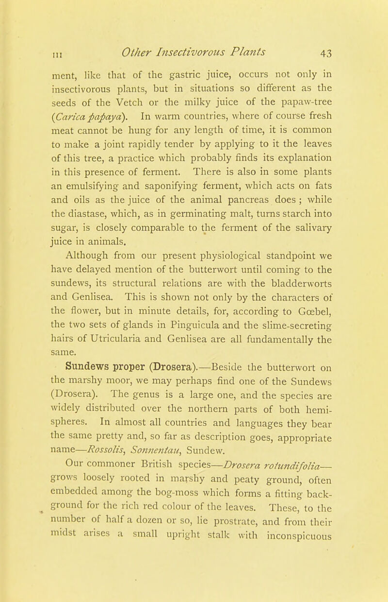 ment, like that of the gastric juice, occurs not only in insectivorous plants, but in situations so different as the seeds of the Vetch or the milky juice of the papaw-tree {Carica papaya). In warm countries, where of course fresh meat cannot be hung for any length of time, it is common to make a joint rapidly tender by applying to it the leaves of this tree, a practice which probably finds its explanation in this presence of ferment. There is also in some plants an emulsifying and saponifying ferment, which acts on fats and oils as the juice of the animal pancreas does ; while the diastase, which, as in germinating malt, turns starch into sugar, is closely comparable to the ferment of the salivary juice in animals. Although from our present physiological standpoint we have delayed mention of the butterwort until coming to the sundews, its structural relations are with the bladderworts and Genlisea. This is shown not only by the characters of the flower, but in minute details, for, according to Goebel, the two sets of glands in Pinguicula and the slime-secreting hairs of Utricularia and Genlisea are all fundamentally the same. Sundews proper (Drosera).—Beside the butterwort on the marshy moor, we may perhaps find one of the Sundews (Drosera). The genus is a large one, and the species are widely distributed over the northern parts of both hemi- spheres. In almost all countries and languages they bear the same pretty and, so far as description goes, appropriate name—Rossolis, Somientau, Sundew. Our commoner British species—Drosera 7-ohindrfolia— grows loosely rooted in marshy and peaty ground, often embedded among the bog-moss which forms a fitting back- ground for the rich red colour of the leaves. These, to the number of half a dozen or so, lie prostrate, and from their midst arises a small upright stalk with inconspicuous