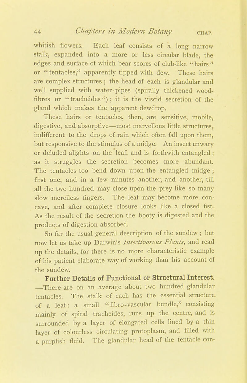 whitish flowers. Each leaf consists of a long narrow stalk, expanded into a more or less circular blade, the edges and surface of which bear scores of club-like  hairs  or  tentacles, apparently tipped with dew. These hairs are complex structures ; the head of each is glandular and well supplied with water-pipes (spirally thickened wood- fibres or  tracheides ) ; it is the viscid secretion of the gland which makes the apparent dewdrop. These hairs or tentacles, then, are sensitive, mobile, digestive, and absorptive—most marvellous little structures, indifferent to the drops of rain which often fall upon them, but responsive to the stimulus of a midge. An insect unwary or deluded alights on the leaf, and is forthwith entangled ; as it struggles the secretion becomes more abundant. The tentacles too bend down upon the entangled midge ; first one, and in a few minutes another, and another, till all the two hundred may close upon the prey like so many slow merciless fingers. The leaf may become more con- cave, and after complete closure looks like a closed fist. As the result of the secretion the booty is digested and the products of digestion absorbed. So far the usual general description of the sundew; but now let us take up Darwin's hisectivorous Plants, and read up the details, for there is no more characteristic example of his patient elaborate way of working than his account of the sundew. Further Details of Functional or Structural Interest. There are on an average about two hundred glandular tentacles. The stalk of each has the essential structure, of a leaf: a small fibro-vascular bundle, consisting mainly of spiral tracheides, runs up the centre, and is surrounded by a layer of elongated cells lined by a thin layer of colourless circulating protoplasm, and filled with a purplish fluid. The glandular head of the tentacle con-