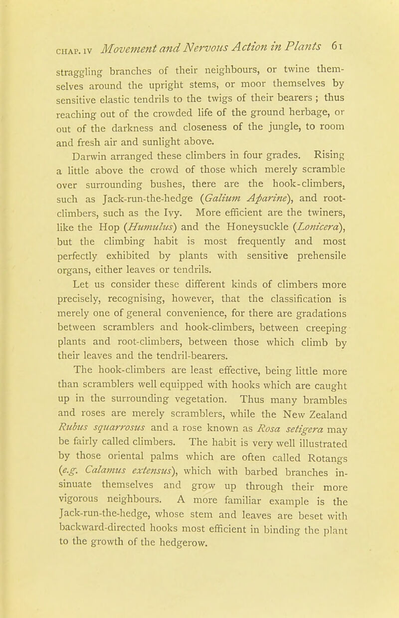 straggling branches of their neighbours, or twine them- selves around the upright stems, or moor themselves by sensitive elastic tendrils to the twigs of their bearers ; thus reaching out of the crowded life of the ground herbage, or out of the darkness and closeness of the jungle, to room and fresh air and sunlight above. Darwin arranged these climbers in four grades. Rising a little above the crowd of those which merely scramble over surrounding bushes, there are the hook-climbers, such as Jack-run-the-hedge {Galium Aparine\ and root- climbers, such as the Ivy. More efficient are the twiners, like the Hop {Hiimulus) and the Honeysuckle {Lonicerd), but the climbing habit is most frequently and most perfectly exhibited by plants with sensitive prehensile organs, either leaves or tendrils. Let us consider these different kinds of climbers more precisely, recognising, however, that the classification is merely one of general convenience, for there are gradations between scramblers and hook-climbers, between creeping plants and root-climbers, between those which climb by their leaves and the tendril-bearers. The hook-climbers are least effective, being Httle more than scramblers well equipped with hooks which are caught up in the surrounding vegetation. Thus many brambles and roses are merely scramblers, while the New Zealand Rtibus squarrosus and a rose known as Rosa setigera may be fairly called climbers. The habit is very well illustrated by those oriental palms which are often called Rotangs {e.g. Calamus exte7isus\ which with barbed branches in- sinuate themselves and grow up through their more vigorous neighbours. A more famihar example is the Jack-run-the-hedge, whose stem and leaves are beset with backward-directed hooks most efficient in binding the plant to the growth of the hedgerow.