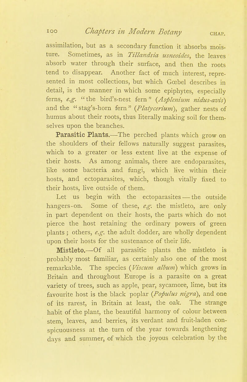 assimilation, but as a secondary function it absorbs mois- ture. Sometimes, as in Tillandsia usneoides, the leaves absorb water through their surface, and then the roots tend to disappear. Another fact of much interest, repre- sented in most collections, but which Grebel describes in detail, is the manner in which some epiphytes, especially ferns, e.g. the bird's-nest fern {Aspleiiium nidus-avis) and the  stag's-horn fern {Platyceriutn), gather nests of humus about their roots, thus literally making soil for them- selves upon the branches. Parasitic Plants.—The perched plants which grow on the shoulders of their fellows naturally suggest parasites, which to a greater or less extent live at the expense of their hosts. As among animals, there are endoparasites, like some bacteria and fungi, which live within their hosts, and ectoparasites, which, though vitally fixed to their hosts, live outside of them. Let us begin with the ectoparasites — the outside hangers-on. Some of these, e.g. the mistleto, are only in part dependent on their hosts, the parts which do not pierce the host retaining the ordinaiy powers of green plants ; others, e.g. the adult dodder, are wholly dependent upon their hosts for the sustenance of their life. Mistleto.—Of all parasitic plants the mistleto is probably most familiar, as certainly also one of the most remarkable. The species {Viscum album) which gi'ows in Britain and throughout Europe is a parasite on a great variety of trees, such as apple, pear, sycamore, lime, but its favourite host is the black poplar {Populus nigra), and one of its rarest, in Britain at least, the oak. The strange habit of the plant, the beautiful harmony of colour between stem, leaves, and berries, its verdant and fruit-laden con- spicuousness at the turn of the year towards lengthening days and summer, of which the joyous celebration by the