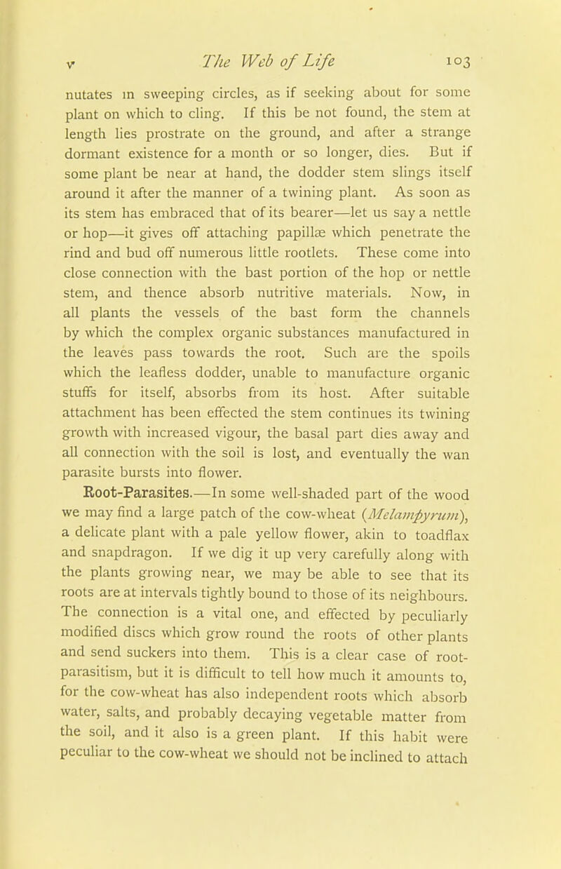 nutates in sweeping circles, as if seeking about for some plant on which to cling. If this be not found, the stem at length lies prostrate on the ground, and after a strange dormant existence for a month or so longer, dies. But if some plant be near at hand, the dodder stem slings itself around it after the manner of a twining plant. As soon as its stem has embraced that of its bearer—let us say a nettle or hop—it gives off attaching papillae which penetrate the rind and bud off numerous little rootlets. These come into close connection with the bast portion of the hop or nettle stem, and thence absorb nutritive materials. Now, in all plants the vessels of the bast form the channels by which the complex organic substances manufactured in the leaves pass towards the root. Such are the spoils which the leafless dodder, unable to manufacture organic stuffs for itself, absorbs from its host. After suitable attachment has been effected the stem continues its twining growth with increased vigour, the basal part dies away and all connection with the soil is lost, and eventually the wan parasite bursts into flower. Root-Parasites.—In some well-shaded part of the wood we may find a large patch of the cow-wheat {Melampyrum\ a dehcate plant with a pale yellow flower, akin to toadflax and snapdragon. If we dig it up very carefully along with the plants growing near, we may be able to see that its roots are at intervals tightly bound to those of its neighbours. The connection is a vital one, and effected by peculiarly modified discs which grow round the roots of other plants and send suckers into them. This is a clear case of root- parasitism, but it is difficult to tell how much it amounts to, for the cow-wheat has also independent roots which absorb water, salts, and probably decaying vegetable matter from the soil, and it also is a green plant. If this habit were peculiar to the cow-wheat we should not be inclined to attach