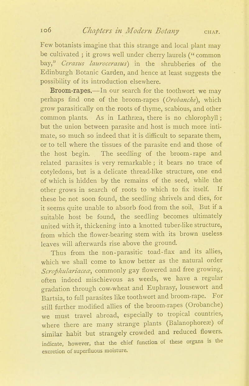 Few botanists imagine that this strange and local plant may be cultivated ; it grows well under cherry laurels ( common bay, Cerasus laurocerasus) in the shrubberies of the Edinburgh Botanic Garden, and hence at least suggests the possibility of its introduction elsewhere. Broom-rapes.—In our search for the toothwort we may perhaps find one of the broom-rapes {Orobanche), which grow parasitically on the roots of thyme, scabious, and other common plants. As in Lathrasa, there is no chlorophyll; but the union between parasite and host is much more inti- mate, so much so indeed that it is difficult to separate them, or to tell where the tissues of the parasite end and those of the host begin. The seedling of the broom-rape and related parasites is very remarkable ; it bears no trace of cotyledons, but is a delicate thread-like structure, one end of which is hidden by the remains of the seed, while the other grows in search of roots to which to fix itself. If these be not soon found, the seedling shrivels and dies, for it seems quite unable to absorb food from the soil. But if a suitable host be found, the seedling becomes ultimately united with it, thickening into a knotted tuber-like structure, from which the flower-bearing stem with its brown useless leaves will afterwards rise above the ground. Thus from the non-parasitic toad-flax and its allies, which we shall come to know better as the natural order ScrophiclariacecE, commonly gay flowered and free growing, often indeed mischievous as weeds, we have a regular gradation through cow-wheat and Euphrasy, lousewort and Bartsia, to full parasites like toothwort and broom-rape. For still further modified allies of the broom-rapes (Orobanche) we must travel abroad, especially to tropical countries, where there are many strange plants (Balanophorea;) of similar habit but strangely crowded and reduced flowers, indicate, however, that the chief function of these organs is the excretion of superfluous moisture.