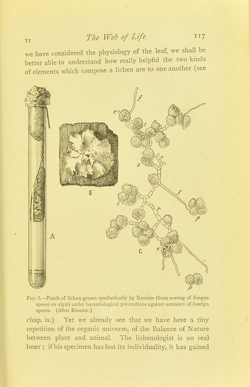 we have considered the physiology of the leaf, we shall be better able to understand how really helpful the two kinds of elements which compose a lichen are to one another (see Fig. 6.—Patch of lichen grown synthetically by Bonnier (from sowing of fungus spores on alga;) under bacteriological precautions against entrance of foreign spores. (After Bonnier.) chap, ix.) Yet we already see that we have here a tiny repetition of the organic universe, of the Balance of Nature between plant and animal. The lichenologist is no real loser ; if his specimen has lost its individuality, it has gained