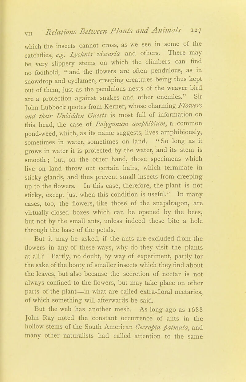 which the insects cannot cross, as we see in some of the catchflies, e.g. Lychnis viscaria and others. There may be very shppery stems on which the chmbers can find no foothold, and the flowers are often pendulous, as in snowdrop and cyclamen, creeping creatures being thus kept out of them, just as the pendulous nests of the weaver bird are a protection against snakes and other enemies. Sir John Lubbock quotes from Kerner, whose charming Flowers and their Unbidden Guests is most full of information on this head, the case of Polygonum amphibium, a common pond-weed, which, as its name suggests, lives amphibiously, sometimes in water, sometimes on land.  So long as it grows in water it is protected by the water, and its stem is smooth; but, on the other hand, those specimens which live on land throw out certain hairs, which terminate in sticky glands, and thus prevent small insects from creeping up to the flowers. In this case, therefore, the plant is not sticky, except just when this condition is useful. In many cases, too, the flowers, like those of the snapdragon, are virtually closed boxes which can be opened by the bees, but not by the small ants, unless indeed these bite a hole through the base of the petals. But it may be asked, if the ants are excluded from the flowers in any of these ways, why do they visit the plants at all ? Partly, no doubt, by way of experiment, partly for the sake of the booty of smaller insects which they find about the leaves, but also because the secretion of nectar is not always confined to the flowers, but may take place on other parts of the plant—in what are called extra-floral nectaries, of which something will afterwards be said. But the web has another mesh. As long ago as 1688 John Ray noted the constant occurrence of ants in the hollow stems of the South American Cecropia palmata^ and many other naturalists had called attention to the same