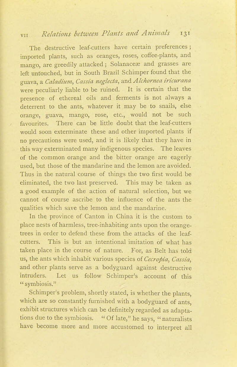 The destructive leaf-cutters have certain preferences; imported plants, such as oranges, roses, coffee-plants, and mango, are greedily attacked; Solanacese and grasses are left untouched, but in South Brazil Schimper found that the guava, a Caladium, Cassia 7teglecia, and Alckornea iriciirana were peculiarly liable to be ruined. It is certain that the presence of ethereal oils and ferments is not always a deterrent to the ants, whatever it may be to snails, else orange, guava, mango, rose, etc., would not be such favourites. There can be little doubt that the leaf-cutters would soon exterminate these and other imported plants if no precautions were used, and it is likely that they have in this way exterminated many indigenous species. The leaves of the common orange and the bitter orange are eagerly used, but those of the mandarine and the lemon are avoided. Thus in the natural course of things the two first would be eliminated, the two last preserved. This may be taken as a good example of the action of natural selection, but we cannot of course ascribe to the influence of the ants the qualities which save the lemon and the mandarine. In the province of Canton in China it is the custom to place nests of harmless, tree-inhabiting ants upon the orange- trees in order to defend these from the attacks of the leaf- cutters. This is but an intentional imitation of what has taken place in the course of natui-e. For, as Belt has told us, the ants which inhabit various species of Cecropia, Cassia, and other plants serve as a bodyguard against destructive intruders. Let us follow Schimper's account of this  symbiosis. Schimper's problem, shortly stated, is whether the plants, which are so constantly furnished with a bodyguard of ants, exhibit structures which can be definitely regarded as adapta- tions due to the symbiosis.  Of late, he says,  naturalists have become more and more accustomed to interpret all