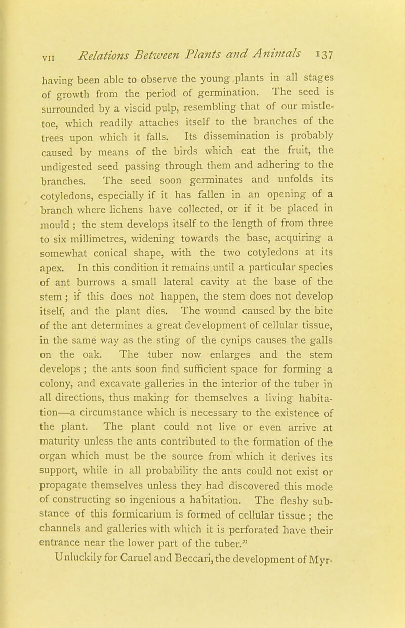 having been able to observe the young plants in all stages of growth from the period of germination. The seed is surrounded by a viscid pulp, resembling that of our mistle- toe, which readily attaches itself to the branches of the trees upon which it falls. Its dissemination is probably caused by means of the birds which eat the fruit, the undigested seed passing through them and adhering to the branches. The seed soon germinates and unfolds its cotyledons, especially if it has fallen in an opening of a branch where lichens have collected, or if it be placed in mould ; the stem develops itself to the length of from three to six millimetres, widening towards the base, acquiring a somewhat conical shape, with the two cotyledons at its apex. In this condition it remains until a particular species of ant burrows a small lateral cavity at the base of the stem; if this does not happen, the stem does not develop itself, and the plant dies. The wound caused by the bite of the ant determines a great development of cellular tissue, in the same way as the sting of the cynips causes the galls on the oak. The tuber now enlarges and the stem develops; the ants soon find sufficient space for forming a colony, and excavate galleries in the interior of the tuber in all directions, thus making for themselves a living habita- tion—a circumstance which is necessary to the existence of the plant. The plant could not live or even ai-rive at maturity unless the ants contributed to the formation of the organ which must be the source from which it derives its support, while in all probability the ants could not exist or propagate themselves unless they had discovered this mode of constructing so ingenious a habitation. The fleshy sub- stance of this formicarium is formed of cellular tissue ; the channels and galleries with which it is perforated have their entrance near the lower part of the tuber. Unluckily for Caruel and Beccari,the development of Myr-