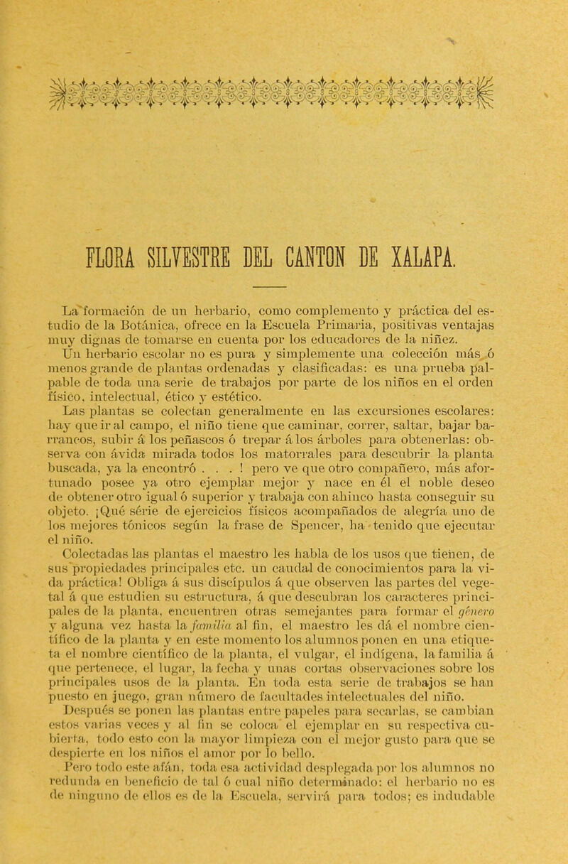 FLORA SILVESTRE DEL CANTON RE XALAPA. Laformación de un herbario, como complemento y práctica del es- tudio de la Botánica, ofrece en la Escuela Primaria, positivas ventajas muy dignas de tomarse en cuenta por los educadores de la niñez. Un herbario escolar no es pura y simplemente una colección más ó menos grande de plantas ordenadas y clasificadas: es una prueba pal- pable de toda una serie de trabajos por parte de los niños en el orden físico, intelectual, ético y estético. Las plantas se colectan generalmente en las excursiones escolares: hay que ir al campo, el niño tiene que caminar, correr, saltar, bajar ba- rrancos, subir á los peñascos ó trepai* álos árboles para obtenerlas: ob- sei va con ávida mirada todos los matorrales para descubrir la planta buscada, ya la encontró . . . ! pero ve que otro compañero, más afor- tunado posee ya otro ejemplar mejor y nace en él el noble deseo de obtener otro igualó superior y trabaja con ahinco basta conseguir su objeto. ¡Qué serie de ejercicios físicos acompañados de alegría uno de los mejores tónicos según la frase de Spencer, lia tenido que ejecutar el niño. Colectadas las (llantas el maestro les habla dé los usos que tienen, de sus propiedades principales etc. un caudal de conocimientos para La vi- da práctica ! < >bliga á sus discípulos á que observen las partes del vege- tal á que estudien su est incluía, á que descubran los caracteres princi- pales de la planta, encuentren otras semejantes para formar el género y alguna vez basta la> familia al fin, el maestro les dá el nombre cien- I ífico de la planta y en este momento los alumnos ponen en una etique- ta el nombre científico de la planta, el vulgar, el indígena, la familia á que pertenece, el lugaij La lecha y unas cortas observaciones sobre los principales usos de La planta. En toda esta, serie de trabajos se han puesto en juego, gran número de facultades intelectuales del niño. Después se ponen las plantas entre papeles para secarlas, se cambian estos varias veces y al fin se coloca el ejemplar en su respectiva cu- bierta., todo esto con la mayor limpieza, con el mejor gusto para que se despierte en los niños el amor por lo bello. Pero todo este afán, toda, esa actividad desplegada por los alumnos no redunda en beneficio de tal ó cual niño determinado: el herbario no es de ninguno de ellos es de la Escuela, servirá para todos; es indudable