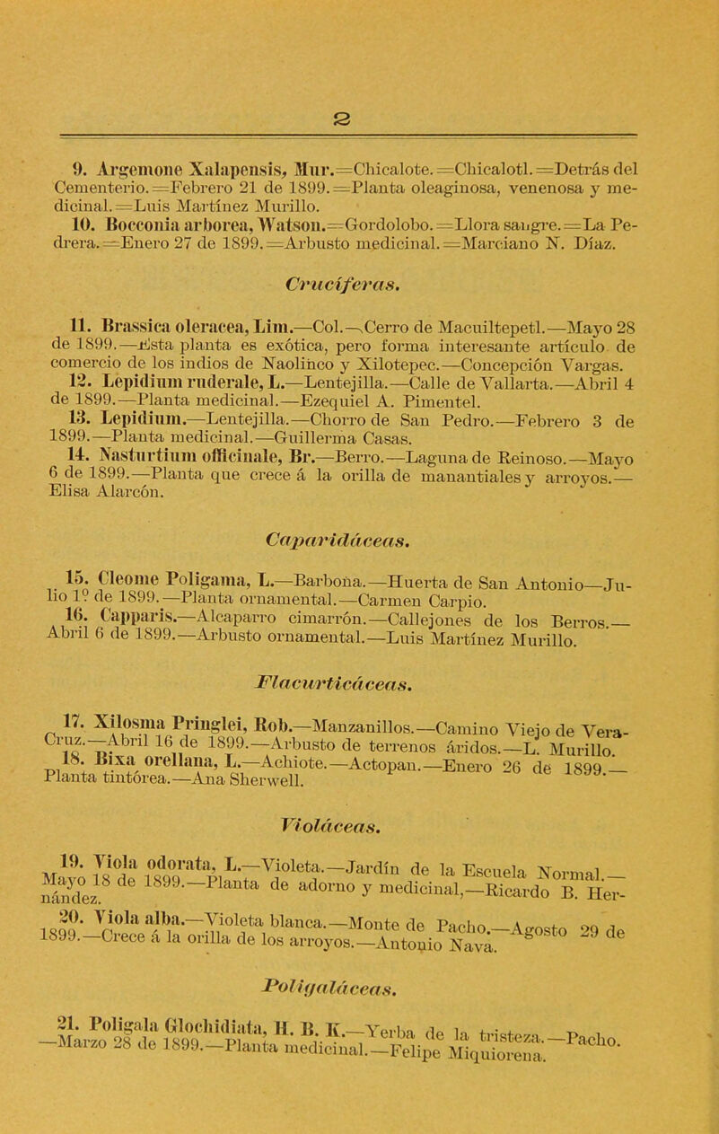 9. Argemone Xalapensis, Mur.=Chicalote.=Chicalotl.==Detrásdel Cementerio. = Febrero 21 de 1899.=PIanta oleaginosa, venenosa y me- dicinal. =Luis Martínez Murillo. 10. Bocconia arbórea, Watsoii.=Gordolobo. =Llora sangre. =La Pe- drera. =Enero 27 de 1899.=Arbusto medicinal. =Marciano N. Díaz. Cruciferas. 11. Brassica olerácea, Lim.—Col—Cerro de Macuiltepetl.—Mayo 28 de 1899.—Esta planta es exótica, pero forma interesante artículo, de comercio de los indios de Naoliñco y Xilotepec.—Concepción Vargas. 12. Lepidium ruderale, L.—Lentejilla.—Calle de Vallaría.—Abril 4 de 1899.—Planta medicinal.—Ezequiel A. Pimentel. 13. Lepidium.—Lentejilla.—Chorro de San Pedro.—Febrero 3 de 1899.—Planta medicinal.—Guillerma Casas. 14. Nastiirtium offlcinale, Br.—Berro.— Laguna de Reinoso—Mayo 6 de 1899.—Planta que crece á la orilla de manantiales v arroyos — Elisa Alarcón. Caparidáceas. 15. Cleonie Polígama, L.—Barbona—Huerta de San Antonio—Ju- lio 1? de 1899.—Planta ornamental.—Carmen Ca.rpio. 16. Capparis—Alcaparro cimarrón.—Callejones de los Berros. Abril 6 de 1899.—Arbusto ornamental.—Luis Martínez Murillo. Flacurticáceas. 17. Xilosma Prmglei, Rob.—Manzanillos.—Camino Viejo de Vera- Cruz Abril 16 de 1899—Arbusto de terrenos áridos—L. Murillo 18. Bixa orellana, L—Achiote—Actopan— Enero 26 de 1899 1. Planta tintórea—Ana Sherwell. Violáceas. mIvo ísde MW^ÍTT^^^ de la Escuela formal— nández °rn° y me^inal,_Ricardo B. Her- ís??' ^a^'^01!*8;blanca—Monte de Pacho—Agosto 29 de 1899—Crece á la orilla de los arroyos—Antonio Nava. Poligaláceas.