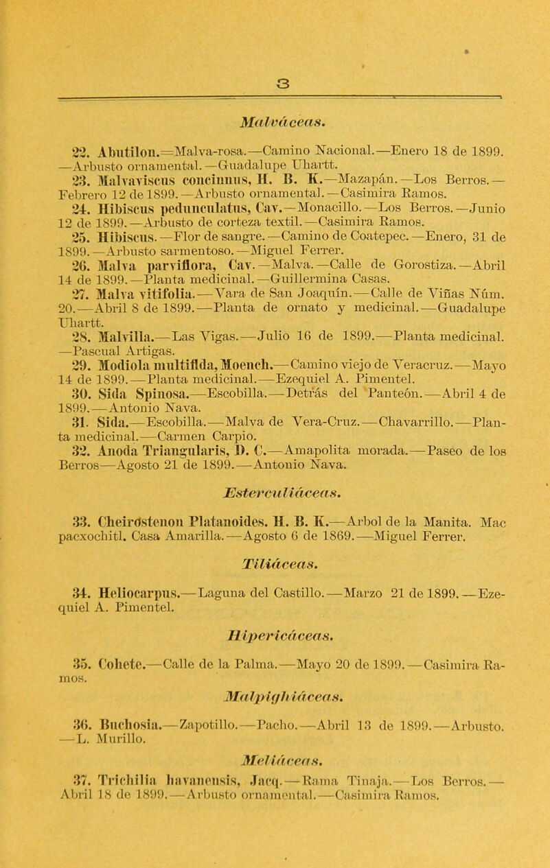 > 3 Malváceas. 22. A bu tilon.—Mal va-rosa.—Camino Nacional.—Enero 18 de 1899. —Arbusto ornamental. —Guadalupe Ubartt. 23. Malvaviscus concinnus, H. B. K.—Mazapán.— Los Berros.— Febrero 12 de 1899.—Arbusto ornamenta].—Casimira Ramos. 24. Hibiscus pedunculatus, Cay.—Monacillo.—Los Berros.—Junio 12 de 1899.—Arbusto de corteza textil.—Casimira Ramos. 25. Hibiscus.—Flor de sangre.—Camino de Coatepec—Enero, 31 de 1899. —Arbusto sarmentoso. —Miguel Ferrer. 26. Malva parviflora, Cav.—Malva.—Calle de Gorostiza.—Abril 14 de 1899.—Planta medicinal.—Guillermina Casas. 27. Malva vitifolia.—Vara de San Joaquín.—Calle de Viñas Núm. 20.—Abril 8 de 1899.—Planta de ornato y medicinal.—Guadalupe Ubartt. 28. Malvilla.—Las Vigas.—Julio 16 de 1899.—Planta medicinal. —Pascual Artigas. 29. Modiola multiflda, Moeneh.—Camino viejo de Veracruz.—Mayo 14 de 1899.—Planta medicinal.—Ezequiel A. Pimentel. 30. Sitia Spinosa.—Escobilla.—Detrás del Panteón.—Abril 4 de 1899.—Antonio Nava. 31. Sida.—Escobilla.—Malva de Vera-Cruz.—Cbavarrillo.—Plan- ta medicinal.—Carmen Carpió. 32. Anoda Triaugularis, I). 0.—Amapolita morada.—-Paseo de los Berros—Agosto 21 de 1899.—Antonio Nava. Ester culiáceas. 33. Cheirdstenon Platanoides. H. B. K.—Arbol de la Manita. Mac pacxochitl. Casa Amarilla.—Agosto 6 de 1869.—Miguel Ferrer. Tiliáceas. 34. HeliOCarpus.—Laguna del Castillo.—Marzo 21 de 1899.—Eze- quiel A. Pimentel. // ¡pericáceas. 35. Cohete.—Calle de la Palma.—Mayo 20 de 1899.—Casimira Ha- mos. Ma!¡>¡{//i ¡áreas. 36. Bueliosia.—Zapotillo.—Pacho.—Abril 13 de 1899.—Arbusto. —L. Muríllo. Me! ¡áreas. 37. Trichilia havanensis, Jacq.— Rama Tinaja.—Los Berros.— Abril 18 de 1899.—Arbusto ornamental.—Casimira Ramos.