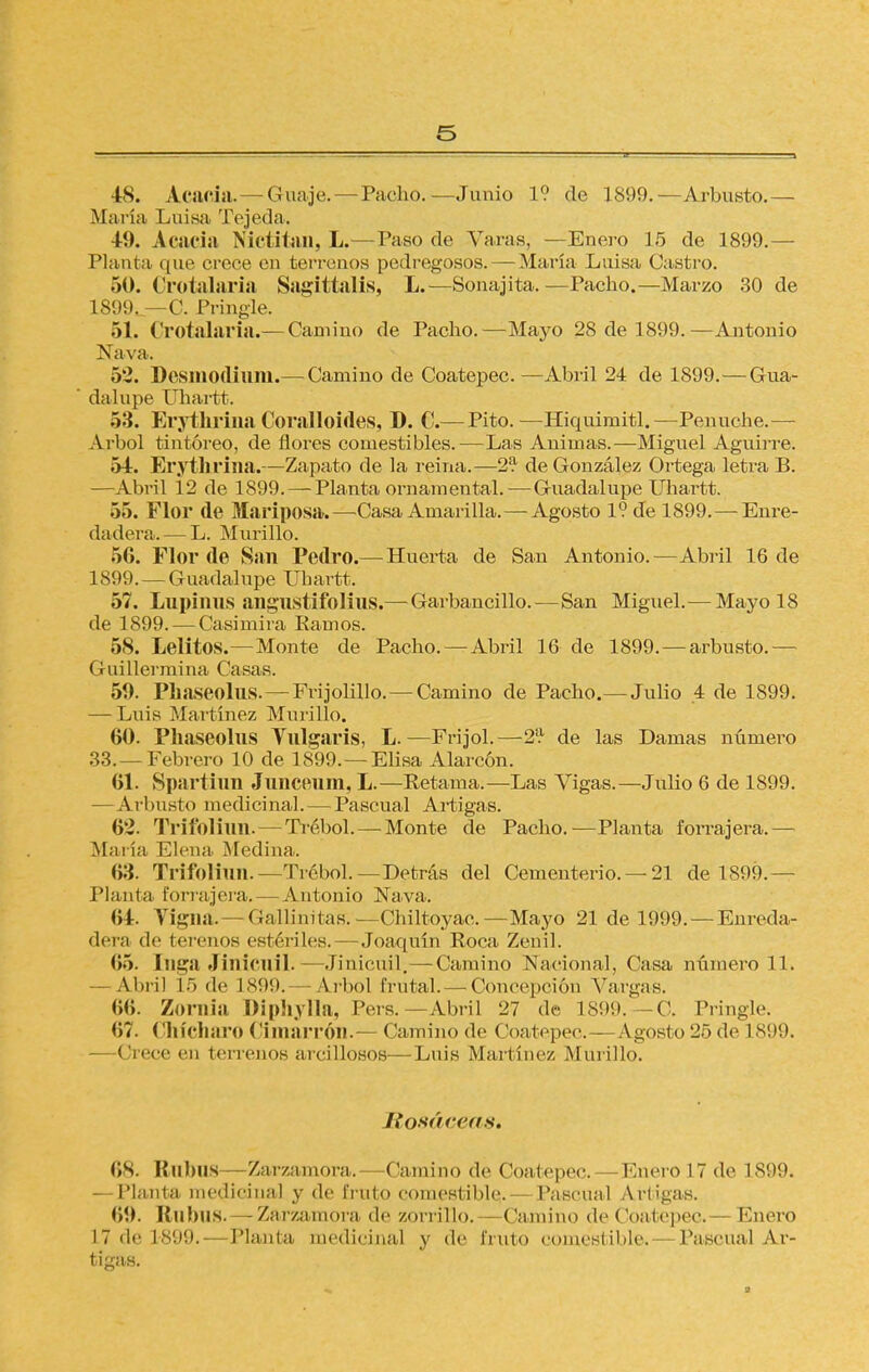 48. Acacia.— Guaje. — Pacho.—Junio 1? de 1899.—Arbusto.— María Luisa Tejeda. 49. Acacia Mutilan, L.— Taso de Varas, —Enero 15 de 1899.— Flauta que crece en terrenos pedregosos. — María Luisa Castro. 50. Crotalaria Sagittalis, L.—Sonajita.—Pacho.—Marzo 30 de 1899, —C. Pringle. 51. Crotalaria.— Camino de Pacho.—Mayo 28 de 1899.—Antonio Nava. 52. Pesmodiuni.— Camino de Coatepec.—Abril 24 de 1899.—Gua- dalupe Uhartt. 53. Erythrina Coralloides, D. C.— Pito.—Hiquimitl.—Penuche.— Arbol tintóreo, de flores comestibles.—Las Animas.—Miguel Aguirre. 54. Erythrina.—Zapato de la reina.—2? de González Ortega letra B. —Abril 12 de 1899. —Planta ornamental.—Guadalupe Uhartt. 55. Flor de Mariposa.—Casa Amarilla.—Agosto 1? de 1899.—Enre- dadera.— L. Murillo. 56. Flor de San Pedro.— Huerta de San Antonio.—Abril 16 de 1899. — Guadalupe Uhartt. 57. Lupinos angnstifolius.— Garbancillo.—San Miguel.— Mayo 18 de 1899. — Casimira Ramos. 58. Lelitos.—Monte de Pacho. — Abril 16 de 1899.—arbusto.— Guillermina Casas. 50. Phaseolus. — Frijolillo.—Camino de Pacho.— Julio .4 de 1899. — Luis Martínez Murillo. 60. Phaseolns Tnlgaris, L.—Frijol.—2'.1 de las Damas número 33.—Febrero 10 de 1899.—Elisa Alarcón. 61. Spartinn Jnncenm, L.—Retama.—Las Vigas.—Jubo 6 de 1899. —Arbusto medicinal. — Pascual Artigas. 62. Trifoliun. — Trébol. — Monte de Pacho.-—Planta forrajera.— María Elena Medina. 63. Trifolmn.— Trébol.— Detrás del Cementerio. —21 de 1899.- Planta forrajera. — Antonio Nava. 64. Vigna.—GaUinitas.—Chiltoyae.—Mayo 21 de 1999. —Enreda- dera de (¡érenos estériles.—Joaquín Roca Zenil. 65. Inga Jinicnil.—Jinicuil.—Camino Nacional, Casa número 11. Abril 15 de 1899.— Arbol frutal. — Concepción Vargas. (¡O. Zornia Diphylla, Pers.—Abril 27 de 1899.-C. Pringle. 67. Chícharo Cimarrón.— Camino de Coatepec.—Agosto 25 de 1899, —Crece en terrenos arcillosos—Luis Martínez .Murillo. ñosáceas* 68. BnblIS—Zarzamora.—-Camino de Coatepec.—Enero 17 de 1899. — Planta medicinal y de fruto comestible. — Pascual Artigas. 69. Rabas. — Zarzamora de zorrillo. Camino de Coatepec. Enero 17 de L-899. Planta medicinal y de fruto comestible. Pascual Ar- tigas.