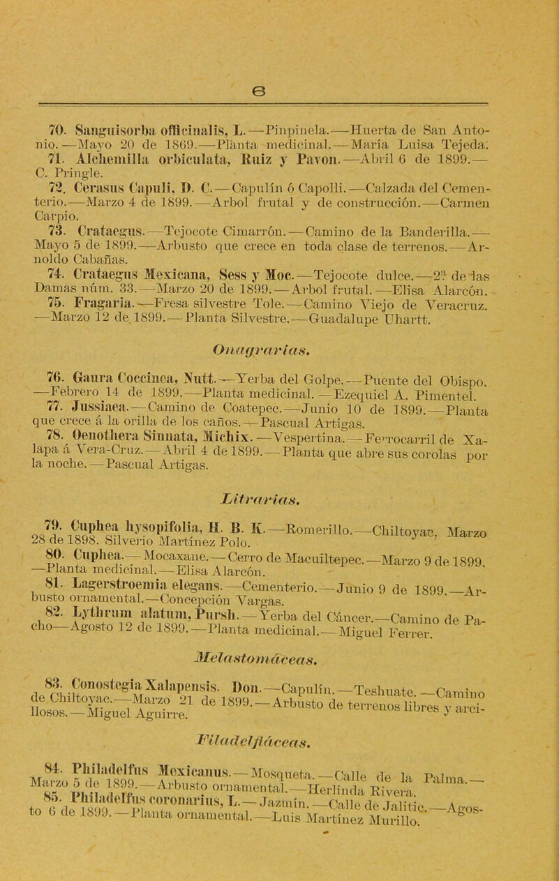 e 70. Sangnisorba oíficinalis, L.—Pinpinela.— Huerta de San Anto- nio.—Maj'o 20 de L869,—Planta medicinal. — María Luisa Tejeda: 71. Alchemilla orbicnlata, Ruiz y Pavón.—Abril 6 de 1899.— C. Pringle. 72. CeraSUS Capulí, D. C. — Capulín ó Capolli.—Calzada del Cemen- terio.—Marzo 4 de 1899.—Arbol frutal y de construcción.—Carmen Carpió. 73. CrataegUS.—Tejocote Cimarrón. — Camino déla Banderilla,— Mayo 5 de 1899.—Arbusto que crece en toda clase de terrenos.—Ar- noldo Cabanas. 74. Crataegus Mexicana, Sess y Moc.—Tejocote dulce.—2:.1 de las Damas núm. 33.—Marzo 20 de 189!). —Arbol frutal.—Elisa Alarcón. 75. Fragaria.—Presa silvestre Tole. — Camino Viejo de Veracruz. —Marzo 12 de. 1899. —Planta Silvestre.—Guadalupe Uhartt. Onagparias. 76. Gaura Coccínea, Nutt.—Yerba del Golpe.—Puente del Obispo. —-Febrero U de 1899.—Planta medicinal. —Ezequiel A. Pimentel. ' 77. Jnssiaea. — Camino de Coatepec.—Junio 10 de 1899.—Planta que crece á la orilla de los caños. — Pascual Artigas. 78. Oenotbera Sinnata, Michix.— Vespertina.—Fen-ocarc-il de Xa- lapa á Vera-Cruz. —Abril 4 de 1899.—Planta que abre sus corolas pol- la noche.— Pascual Artigas. Litrariás. 80. Cuphea.—Mocaxane.—Cerro de Macuiltepec. —Marzo 9 de 1899 —Planta medicinal. —Elisa Alarcón. 81. Lagerstroeniia elegans.—Cementerio.—Junio 9 de 1899 — Ir busto ornamental.—Concepción Vargas. 82. Lythrum alainni, Pursh.—Yerba del Cáncer.-Camino de Pa- cho—Agosto 12 de 1899.—Planta medicinal. —Miguel Ferrer Melastomáceas. 83. ConostegiaXalapensis. Don.— Capulín.— Teshuate —Camino t^-lu^Z^!de is™-^° fe - Mladelfiácects. 84. Philadelfus Mexicanus.—Mosqueta.— Calle de la Palm» fco 6 de ís ¡M T,nanUS' !i'7 Ja/''nín- Calle dé JalitiC,_Agos-