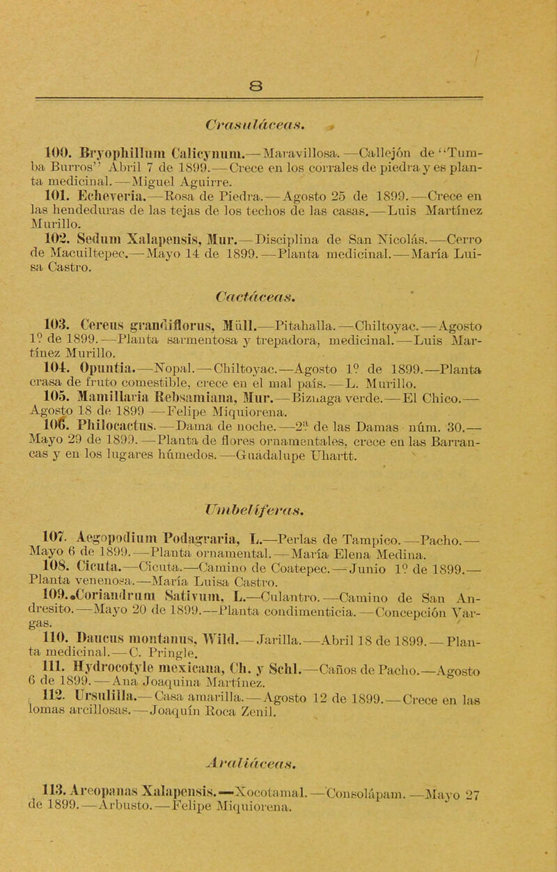 Cvasuláceas* 100. Bryophilluni Calicynum.— Maravillosa. —Callejón de Tum- ba Burros Abril 7 de 1899.—Crece en los porrales de piedra y es plan- ta medicinal.—Miguel Aguirre. 101. Eclieveria.—Rosa de Piedra. — Agosto 25 de 1899.—Crece en las hendeduras de las tejas de los techos de las casas.—Luis Martínez Murillo. 102. Seduui Xalapensis, Mur.— Disciplina de San Nicolás.—Cerro de Macuiltepec.— Mayo 14 de 1899.—Planta medicinal. — María Lui- sa Castro. Cactáceas. 103. Cereus gran<]iflorus, Müll.—Pitahalla.—Chiltoyac.—Agosto 1? de 1899.—Planta sarmentosa y trepadora, medicinal.—Luis Mar- tínez Murillo. 104. Opuntia.—Nopal. —Chiltoyac—Agosto 1? de 1899.—Planta crasa de fruto comestible, crece en el mal país. — L. Murillo. 105. Maniillaria Rebsamiana, Mur.—Biznaga verde.—El Chico.— Agosto 18 de 1899 —Felipe Miquiorena. 106. Philocactus.—Dama de noche.—2? de las Damas núm. 30.— Mayo 29 de 1890. —Plauta de flores ornamentales, crece eu las Barran- cas y en los lugares húmedos.—Guadalupe Uhartt. Umbelíferas. 107. Aegopodium Podagraria, L.—Perlas de Tampico.— Pacho.— Mayo 6 de 1899.—Planta ornamental.—María Elena Medina, 108. Cicuta.—Cicuta.—Camino de Coatepec. — Junio 1? de 1899.— Planta venenosa.—María Luisa Castro. 109.,Curiandruni Sativum, L.—Culantro.—Camino de San An- dresito.—Mayo 20 de 1899.—Planta condiinenticia.—Concepción Var- gas. 110. DailCUS montaims, Wild.—Jarilla.—Abril 18 de 1899. — Plan- ta medicinal. — C. Pringle. 111. Hydrocotyle mexicana, Ch. y Schl.— Caños de Pacho.—Agosto 6 de 1899. — Ana Joaquina Martínez. 112. Cfrsillilla.— Casa amarilla. —Agosto 12 de 1899.—Crece en las lomas arcillosas. — Joaquín Roca Zenil. Araliáceas. 113. Areopanas Xalapensis.— Xocotamal.—Consolápam. - Mayo 27 de 1899.—Arbusto. — Felipe Miquiorena.