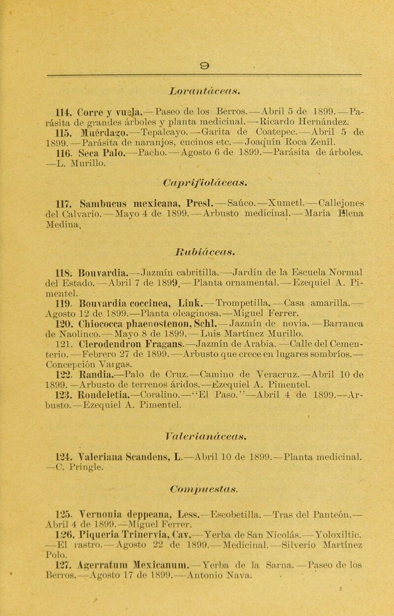 Lprantáceas. 114. Corre y niQte.— Paseo de los Berros. — Abril 5 de 1899.—Pa- rásita, de grandes árboles y planta medicinal.—-Ricardo Hernández. 115. Muérdago.—Tepalcayo.—Garita de Coatepec. — Abril 5 de L899.—Parásita de naranjos, encinos etc.—Joaquín Roca Zenil. 116. Seca Palo.—Pacho.—Agosto 6 de 1899.—Parásita de árboles. —L. Murillo. C<(prifioláeeas. 117. Sambucus mexicana, Presl.—Saúco.—Xumetl.—Callejones del Calvario. — Mayo 4 de 1899.—Arbusto medicinal. — María Hiena Medina. Rubiáceas, 118. Bouvardia.—-Jazmín cabritilla.—Jardín de la Escuela Normal del Estado.—Abril 7 de 1899.—Planta ornamental. — Ezequiel A. Pi- mentel. 119. Bouvardia coccínea, Link.— Trompetilla..—Casa amarilla.— Agosto 12 de 1899.—Planta oleaginosa.—Miguel Ferrer. 120. Chiococca phaenostenon, Schl.—Jazmín de novia.—Barranca de Naolinco. — Mayo 8 de 1899. — Luis Martínez Murillo. 121. Clerodendron Fragans.—Jazmín de Arabia. —Calle del Cemen- terio.—Febrero 27 de 1899.—Arbusto que crece en lugares sombríos.— Concepción Vargas. 122. Randia.—Palo de Cruz.—Camino de Veracruz.—Abril 10 de L899. —Arbusto de terrenos áridos.—Ezequiel A. Pinieutel. 123. Rondeletia.—Coralino.—El Paso.—Abril 4 de 1899.—Ar- busto.—Ezequiel A. Pimentel. ValeHanáceas. 121. Valeriana Ncandcns, L.—Abril 10 de 1899.—Planta medicinal. —O. Pringle. Compuestas. 125. Vernonia deppeana, Less.—Escobetillá. Tras del Panteón.— Abril 4 de 1899.— Miguel Ferrer. l£6. Piquería Trinervia, Car. Serba de San Nicolás. Yoloxiltic. -El rastro.— Agosto 22 de 1899.—Medicinal.—Silverio Martínez. Polo. 127. igerratum Mexicanum. Yerba de la Sama. Paseo de los Herios.—Agosto 17 de 1899.—Antonio Nava.
