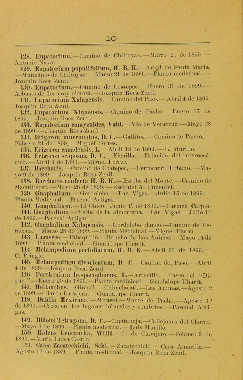 ÍO 138. Bupatorium.'—Camiíio de Chiltoyac.—Marzo 21 de 189!). Antonio Nava. 129. Etipatorium popnlifolinm, H. B. K. - Arbol de Santa María, —Municipio de Chiltoyac—Marzo 21 de 1899.—Planta medicinal.— Joaquín Roca. Zenil.- 130. Eupatorium.—Camino de Coatepee.— Fneío 31 de 1899.- Arbusto de flor muy olorosa.—Joaquín Roca Zenil. 131. Eujjatorium Xalapensis.— Camino del Paso.—Abril 4 de 1899. Joaquín Roca Zenil. 132. Eupatorium Xiqnensis.—Camino de Pacho.—Enero 17 de 1899.—Joaquín Roca Zenil. 133. Eupatorium comyzoides, Vahl.—Vía de Veracruz.—Mayo 28 de 1899. —Joaquín Roca Zenil. 134. Erigeron' mucronatus, D. C.—Gallitos.—Camino de Pacho.— Febrero 21 de 1899.—Miguel Torres. 135. Erigeron canadensis, L.—Abril 18 de 1899. —L. MuHllo. 130. Erigeron SCaposus, D. C.—Elenilla.—Estación del Interoceá- nico.—Abril 4 de 1899.—Miguel Ferrer. 137. Baccharis.—Camino de Coatepee,—Ferrocarril Urbano.—Ma- yo 9 de 1899.—Joaquín Roca Zenil. 138. Baccharis confería H. B. K.—Escoba del Monte.—Camino de Macuiltepec.—Mayo-28 de 1899.—Ezequiel A. Pimentel. 139. Gnaphalium.— Gordolobo —Las Vigas.—Julio 15 de 1899.— Planta Medicinal.—Pascual Artigas. 140. Gnaphalium.—El Chico, Junio 1? de 1899. — Carmen Carpió. 141. Gnaphalium.—-Yerba de la almorrana.—Las Vigas.—Julio 14 de 1899.—Pascual Artigas. 142. Gnaphalium Xalapensis.—Gordolobo blanco.—Camino de Ve- racruz.— Marzo 28 de 1899.—Planta Medicinal.—Miguel Ferrer. 143. Lagascea.—Tabaquilló.—Rancho de Las Animas. — Mayo 14 de 1899. — Plan ta medicinal. — Guadalupe Cha rtt. 144. Melampodium perfoliatnm, H. B. K.—Abril 26 de 1899.— C. Pringle. 145. Melanipodium divaricatum, D. C.— Camino del Paso. — Abril '4 de 1899.—Joaquín Roca Zenil. 140. Parthenium hysperqphorus, L.—ArrociHo.—Paseo del Di- que.—Enero 20 de 1899.— Planta medicinal.—Guadalupe Uhartt. 147. Helianthns.—Girasol.—Chimelaeatl.—Las Animas.—Agosto 2 de 1899.—Planta forrajera. —Guadalupe Uhartt. 14S. Dahlia Mexicana.—Mirasol.—Monte de Pacho.—Agosto 1? de 1899.—Creee en los lugares húmedos y sombríos.—Pascual Arti- gas. 149. Bidens Tetragona, D. C—Gapitaiiejat—Callejones del Chorro. —Mayo 6 de 1 899. —Planta medicinal.—Luis Murillo. 150. Bidens Leucantha, Willd.—Ia de Clavijero.—Febrero 2 de 1899.—María Luisa Castro. L51. ( alca Zacatechichi, Schl. — Zacatpchichi. Casa Amarilla, Agosto 12 de 1889. —Planta medicinal.—Joaquín Roca Zenil.