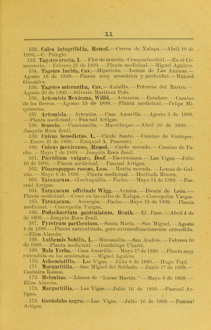 V 11 152. Caloa integrifolia, Hemsl.— Cerros de Xalapa,—Abril 10 de L899.—C. Pringle. 153. Tagetes erecta, L. —Flor de muerto.-Cempoalxochitl.—En el Ce- menterio.—Febrero 21 de 1899.—Planta medicinal.—Miguel Aguirre. 154. Tagetes lucida, Cav*—Hipericón.—Lomas de Las Animas.— Agósto 16 de 1899. — Planta muy aromática y medicinal.—Manuel (louzález, 155. Tagetes niicrantha, Cav.—Anisillo.—Potreros del Rastro.— Agosto 20 de 1899.—Silverio Martínez Polo. 156. Artemisia Mexicana, Willd.—Artemisa.—Estáñate. —Camino de los Berros.—Agosco 15 de 1899.—Planta medicinal.—Felipe Mi- quiorena. 157. Artemisia. — Artemisa. — Ca«a Amarilla.—Agosto 3 de 1899. —Planta medicinal. — Pascual Artigas. 158. Senecio. — Cuaresmilla. — Macuiltepec.—Abril 10 de 1899.— Joaquín Roca Zenil. 159. Cnicus benedictus, L.—Cardo Santo.—Camino de Coatepec. — Enero 31 de 1899.—Ezequiel A. Pimentel. 160. Cnicus mexicanus, Hemsl.—Cardo morado.—Camino de Pa- cho.—Mayo 7 de 1899. — Joaquín Roca Zenil. 161. Picridium vulgare, Desf.—Escorzonera.—Las Vigas.—Julio 10 de 1899. — Planta medicinal.—Pascual Artigas. 162. Pinaropappus roseus, Less.—Motita morada.—Lomas de Gal- ván. — Mayo 6 de 1899.—Planta medicinal.—Herlinda Rivera. 163. Taraxacum.—Lecbuguilla.—Pacho.—Mayo 14 de 1899.—Pas- cual Artigas. 164. Taraxacum oft'icinale Wigg.—Armica.—Diente de León.— Planta medicinal.—Crece en las calles de Xalapa.—Concepción Vargas. 165. Taraxacum.—Amargón.—Pacho.—Mayo 15 de 1899.—Planta medicinal. — Concepción Vargas. 166. Podachaeriuin panicuiatuni, Beutii.—El Paso.—Abril 4 de de 1899. — Joaquín Roca Zenil. 167. Pyrctrum parthenium.—Santa María.—San Miguel.— Agosto 4 de 18!)!). — Planta naturalizada, pero extraordinariamente extendida. —Elisa A larcón; L68. Anthemis Nobilis, L.—Manzanilla.—San Andrés. — Febrero 10 de 1899. — Planta medicinal. — Guadalupe Uhartt. 169. Mala Yerba. - ('asa Amarilla. — Mayo IV de 189!). —Planta muy extendida, en los sembrados. —Miguel Aguirre. 170. Achomiatillo.— Las Vigas. — Julio 8 de 1890. Hugo Topf. 171. Margaritilla.—San Miguel del Soldado.—Junio L? de 1S!)9.— Casi mi i-a Ramos. 172. 11e i e n i tas •—Llanos de Lúeas Martín. —Mayo 5 de 1899.— Elisa A la rcón. I3. Margaritilla.— Las Vigas. —Julio 16 de 1899.—Pascual Ar- tigas. 174. Gordolobo negro.—Las Vigas.—Julio lo de L899. Pascual Artigas.