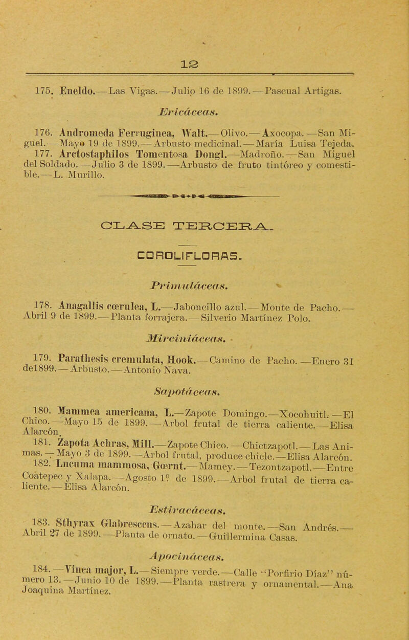 1S 175. Eneldo.—Las Vigas.—Julio 16 de 1899. — Pascual Artigas. Ericáceas. 176. Andrómeda Ferruginea, Walt.— Olivo.—Axocopa,—San Mi- guel.—Mayo 19 de 1899. — Arbusto medicinal. — María Luisa Tejeda. 177. Arctostaphilos Tomentosa Dongl.—Madroño.—San Miguel del Sol dado.—Julio 3 de 1899.—Arbusto de fruto tintóreo y comesti- ble.— L. Murillo. CLASE TERCERA. CDROLIFLDRAS. Primuláceas. 178. Anagallis «oerulea, L.—Jaboncillo azul. — Monte de Pacho.— Abril 9 de 1899. —Planta forrajera. —Silverio Martínez Polo. M/irci/niáceas. 179. Parathesis cremulata, Hook.—Camino de Pacho. —Enero 31 del899. — Arbusto. — Antonio Nava, Sapútácea». 180. Mammea americana, L—Zapote Domingo.—Xocohuitl —El Chico.—Mayo 15 de 1899.—Arbol frutal de tierra caliente.—Elisa Alarcon. 181. Zapota Achras, Mili.—Za pote Chico. —Chictzapotl. — Las V n i - mas.-Mayo 3 de 1899.—Arbol frutal, produce chicle.—Elisa Alarcón 182. Lncnma mammosa, Gcernt.— Mamey.—Tezontzapotl.— Entre Coatepec y Xalapa.—Agosto 1? de 1899.—Arbol fruta] de tierra ca- liente.— Elisa Alarcón. Estiracáceas. 183 Sthyrax Glabrescens.—Azahar del monte.—San Andrés Ahnl 27 de 1899. —Planta de ornato. Guillermina Casas. Apocináceas. 184 — Vinra major, I, Siempre verde.—Calle -'Porfirio Díaz nú- mero 13.-Junio 10 de 1899.—Planta rastrera v ornamental.- Ana Joaquina Martínez.