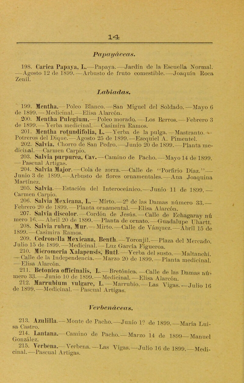 Papayáceas. 198. Carica Papaya, L.—Papaya.—Jardín de la Eseuella Normal. -—Agosto 12 de 1899.—Arbusto de fruto comestible.—Joaquín Roca Zenil. Labiadas, 199. Mentha.—Poleo Blanco.—San Miguel del Soldado.—Mayo 6 de 1899. — Medicinal.—Elisa Alarcón. 200. Mentha Pulegium.—Poleo morado.—Los Berros.—Febrero 3 de 1899. — Yerba medicinal. — Casimira Ramos. 201. Mentha rotundifolia, L.—Yerba de la pulga.—Mastranto. fe- Potreros del Dique.—Agosto 25 de 1899.—Ezequiel A. Pimentel. 202. Salvia. Chorro de San Pedro.—Junio 20 de 1899.—Planta me- dicinal.—Carmen Carpió. 203. Salvia purpurea, Cav.—Camino de Pacho.—Mayo 14 de 1899. — Pascual Artigas. 204. Salvia Major. — Cola de zorra,—Calle de Porfirio Díaz. Junio 3 de 1899.—Arbusto de flores ornamentales.—Ana Joaquina Martínez. 205. Salvia.—Estación del Interoceánico.—Junio 11 de 1899. Carmen Carpió. 206. Salvia Mexicana, L.— Mirto.—2? de las Damas número 33 — Febrero 20 de 1899.—Planta ornamental.—Elisa Alarcón. 207. Salvia discolor.—Cordón de Jesús.—Calle de Echagaray nú mero lfi. — Abril 20 de 1899.—Planta de ornato.—Guadalupe Uhartt 208. Salvia rubra, Mur.—Mirto.—Calle de Vázquez.—Abril 15 de 1899.—Casimira Ramos. 209. Cedronella Mexicana, Benth.—Toronjil.—Plaza del Mercado Jubo 15 de 1899.—Medicinal. —Luz García Figueroa. 210. Mieromeria Xalapensis, Butl.— Yerba del susto.- Maltanchi — Calle de la Independencia. —Marzo 20 de 1899.—Planta medicinal —Elisa Alarcón. 211. Betónica officinalis, L.—Bretónica.—Calle de las Damas nú- mero 33.—Junio 10 de 1899. —Medicinal.—Elisa Alarcón i 2i18ÓQMarÍU5^m1T,ll|areí f—Marrubio.—Las Vigas.-Julio 16 de 1899.—Medicinal. —Pascual Artigas. Verbenáceas. 213. AzuliUa.—Monte de Pacho.—Junio 1? de 1899.—María Lui- sa Castro. 214. Lantana.—Camino de Pacho. —Marzo 14 de 1S99— Manuel González. 215. Yerbea Verbena.—Las Vigas.—Julio 16 de 1899.—Medi- cinal.—Pascual Artigas.