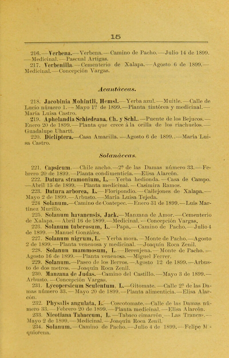216. - Verbena.—Verbena. — Camino de Pacho.—-Julio 14 de 1899. —Medicinal. Pascual Artiga*. 217. Verbonilla. -Cementerio de Xalapa.—Agesto 6 de 1899.- MedicinaL Concepción Vargas. Acantáceas, 218. Jacobinia Mohintli, Hemsl.—Yerba azul.—Muitle.—Calle de Lucio número 1. — Mayo 1? de 1899.—Planta tintórea y medicinal.— María Luisa Castro. |219. Aphelandia Schiedeana, Ch. y Schl..—Puente de los Bejucos.— Enero 20 de 1899.— Planta que crece ála orilla de los riachuelos.— Guadalupe Vhartt. 220. Dicliptera.—Casa Amarilla.—Agosto 6 de 1899..—María Lui- sa Castro. Solanáceas. 221. Capsicum.—Chile ancho.—2^ de las Damas número 33.—Fe- brero 20 de 1899.—Planta con di mentida.—Elisa Alarcón. 222. Datura stramonium, L.—Yerba hedionda. —Casa de Campo. —Abril 15 de 1899.—Planta medicinal.-—Casimira Ramos. 223. Datura arbórea, L.—Floripondio. — Callejones de Xalapa.— Mayo 2 de 1899.—Arbusto.—María Luisa Tejeda. 224 Solanum.—Camino deCoatepec.—Enero 31 de 1899.—Luis Mar- tínez Murillo. 225. Solanum liavanensis, Jack.—Manzana de Amor.—-Cementerio de Xalapa. — Abril 10 de 1899.—Medicinal.—Concepción Vargas. 226. Solanum tuberosum, L.—Papa.— Camino de Pacho.—Julio 4 de 1899.—Manuel González. 227. Solanum nigrum, L.— Yerba mora. —Monte de Pacho.—Agosto 2 de 1899.- Planta venenosa y medicinal.—Joaquín Roca Zenil. 228. Solannn mammosum, L.—Berenjena. — Monte de Pacho.— Agosto 16 de L899. — Planta venenosa.—Miguel Ferrer. 229. Solanum.—Paseo de los Berros. — Agosto 12 de 1899.—Arbus- to de dos metros.—Joaquín Poca Zenil. 230. Manzana: de Judas.—Camino del Castillo.—Mayo 3 de 1899.— Arbusto.- Concepción Vargas. 231. LyCOpersiCUm Sculentum, L.—(¡¡tomate.—Calle 2? de las Ha- mas numero 33. — Mayo 20 de 1899.—Planta alimenticia.—Elisa Alar- cón. 232. Physalis angulata, h. Cóscotomate.—Calle de las Damas nú- mero 33. Febrero 20 de bs'.)9. -Planta medicinal. — Plisa Alarcón. 238. Nicotiana Tabaccum, L.—Tabaco cimarrón. Las Trancas.-- Mayo 2 de 1898. - Medicinal. — Joaquín Roca Zenil. 234. Solanum. Camino de Pacho. - .Julio l de L899. Felipe Mi- quiorena.