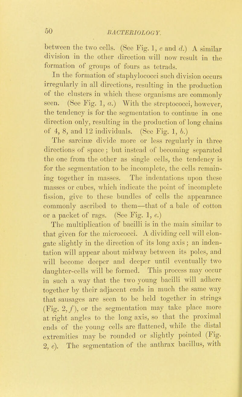 between the two cells. (See Fig. 1, e and d.) A similar division in the other direction will now result in the formation of groups of fours as tetrads. In the formation of staphylococci such division occurs irregularly in all directions, resulting in the production of the clusters in which these organisms are commonly seen. (See Fig. 1, a.) With the streptococci, however, the tendency is for the segmentation to continue in one direction only, resulting in the production of long chains of 4, 8, and 12 individuals. (See Fig. 1, b.) The sarcinae divide more or less regularly in three directions of space; but instead of becoming separated the one from the other as single cells, the tendency is for the segmentation to be incomplete, the cells remain- ing together in masses. The indentations upon these masses or cubes, which indicate the point of incomplete fission, give to these bundles of cells the appearance commonly ascribed to them—that of a bale of cotton or a packet of rags. (See Fig. 1, e.) The multiplication of bacilli is in the main similar to that given for the micrococci. A dividing cell will elon- gate slightly in the direction of its long axis; an inden- tation will appear about midway between its poles, and will become deeper and deeper until eventually two daughter-cells will be formed. This process may occur in such a way that the two young bacilli will adhere together by their adjacent ends in much the same way that sausages are seen to be held together in strings (Fig. 2,/), or the segmentation may take place more at right angles to the long axis, so that the proximal ends of the young cells are flattened, while the distal extremities may be rounded or slightly pointed (Fig. 2, e). The segmentation of the anthrax bacillus, with