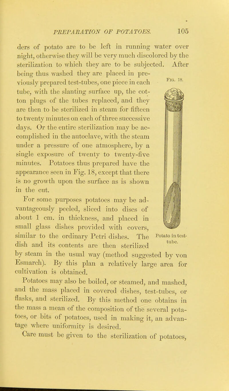 Fig. 18. 1 I I III clers of potato are to be left in running water over night, otherwise they will be very much discolored by the sterilization to which they are to be subjected. After being thus washed they are placed in pre- viously prepared test-tubes, one piece in each tube, with the slanting surface up, the cot- ton plugs of the tubes replaced, and they are then to be sterilized in steam for fifteen to twenty minutes on each of three successive days. Or the entire sterilization may be ac- complished in the autoclave, with the steam under a pressure of one atmosphere, by a single exposure of twenty to twenty-five minutes. Potatoes thus prepared have the appearance seen in Fig. 18, except that there is no growth upon the surface as is shown in the cut. For some, purposes potatoes may be ad- vantageously peeled, sliced into discs of about 1 cm. in thickness, and placed in small glass dishes provided with covers, similar to the ordinary Petri dishes. The dish and its contents are then sterilized by steam in the usual way (method suggested by von Esmarch). By this plan a relatively large area for cultivation is obtained. Potatoes may also be boiled, or steamed, and mashed, and the mass placed in covered dishes, test-tubes, or flasks, and sterilized. By this method one obtains in the mass a mean of the composition of the several pota- toes, or bits of potatoes, used in making it, an advan- tage where uniformity is desired. Care must be given to the sterilization of potatoes, Potato in test- tube.