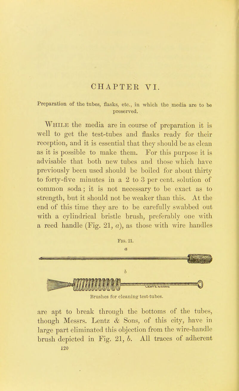 Preparation of the tubes, flasks, etc., in which the media are to be preserved. While the media are in course of preparation it is well to get the test-tubes and flasks ready for their reception, and it is essential that they should be as clean as it is possible to make them. For this purpose it is advisable that both new tubes and those which have previously been used should be boiled for about thirty to forty-five minutes in a 2 to 3 per cent, solution of common soda; it is not necessary to be exact as to strength, but it should not be weaker thau this. At the end of this time they are to be carefully swabbed out with a cylindrical bristle brush, preferably one with a reed handle (Fig. 21, a), as those with wire handles Fig. 21. Brushes for cleaning test-tubes. are apt to break through the bottoms of the tubes, though Messrs. Lentz & Sons, of this city, have in large part eliminated this objection from the wire-handle brush depicted in Fig. 21, b. All traces of adherent