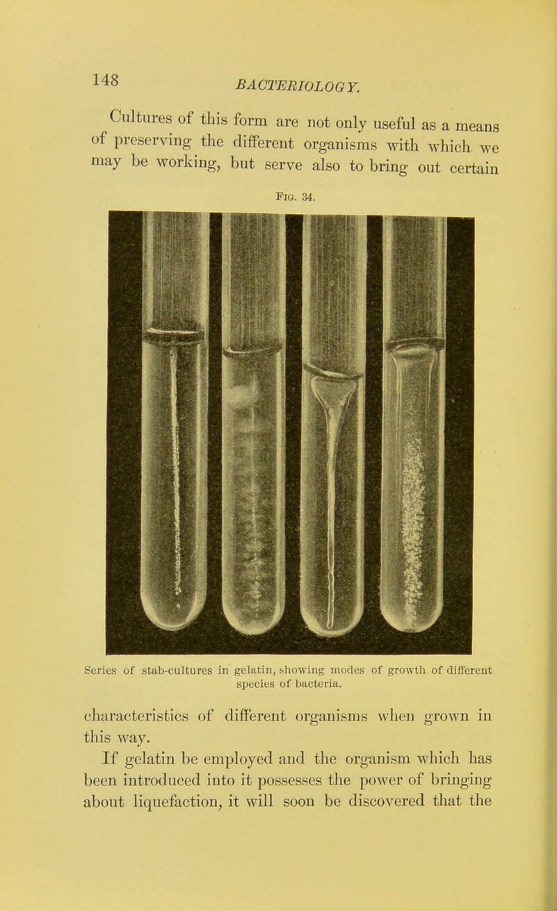 Cultures of this form are not only useful as a means of preserving the different organisms with which we may be working, but serve also to bring out certain Fig. 34. Series of stab-cultures in gelatin, showing modes of growth of different species of bacteria. characteristics of different organisms when grown in this way. If gelatin be employed and the organism which has been introduced into it possesses the power of bringing about liquefaction, it will soon be discovered that the