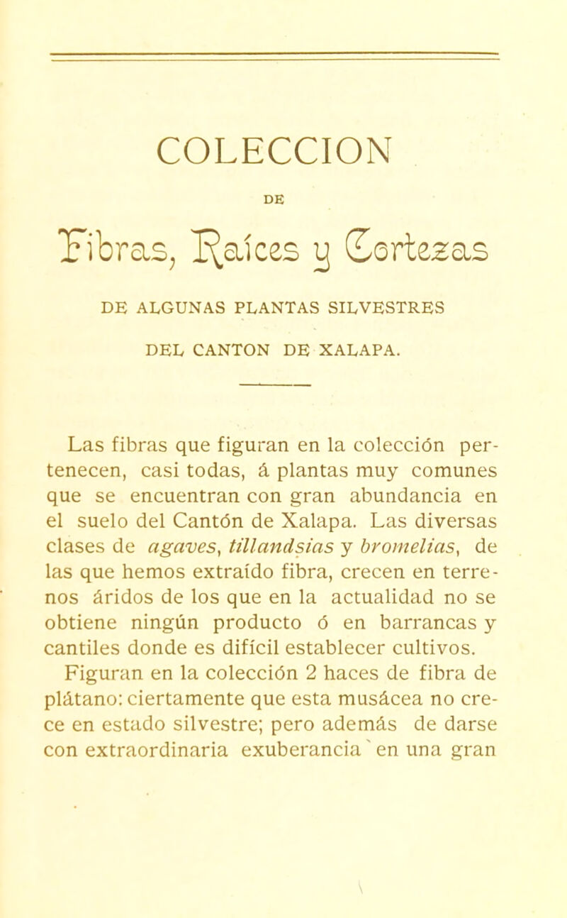 DE í'ibras^ I^aíces y Cortejas DE ALGUNAS PLANTAS SILVESTRES DEL CANTON DE XALAPA. Las fibras que figuran en la colección per- tenecen, casi todas, á plantas muy comunes que se encuentran con gran abundancia en el suelo del Cantón de Xalapa. Las diversas clases de agaves, tillandsias y bromelias, de las que hemos extraído fibra, crecen en terre- nos áridos de los que en la actualidad no se obtiene ningún producto ó en barrancas y cantiles donde es difícil establecer cultivos. Figuran en la colección 2 haces de fibra de plátano: ciertamente que esta musácea no cre- ce en estado silvestre; pero además de darse con extraordinaria exuberancia' en una gran