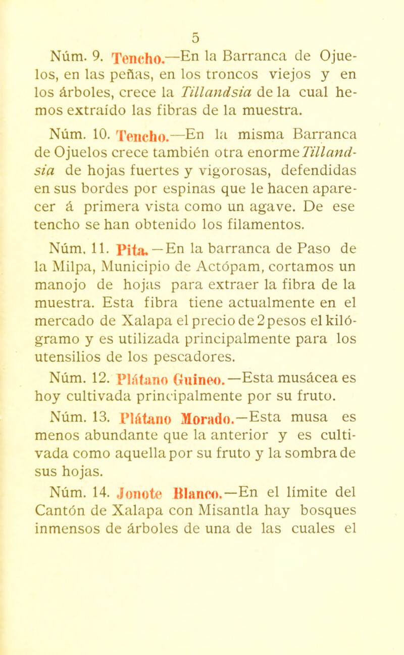 Núm. 9. Tencho.—En la Barranca de Ojue- los, en las peñas, en los troncos viejos y en los árboles, crece la Tillandsia de la cual he- mos extraído las fibras de la muestra. Núm. 10. Teiicho.—En l'i misma Barranca de Ojuelos crece también otra enorme;Tilland- sia de hojas fuertes y vigorosas, defendidas en sus bordes por espinas que le hacen apare- cer á primera vista como un agave. De ese tencho se han obtenido los filamentos. Núm. 11. Pita. —En la barranca de Paso de la Milpa, Municipio de Actópam, cortamos un manojo de hojas para extraer la fibra de la muestra. Esta fibra tiene actualmente en el mercado de Xalapa el precio de 2 pesos el kilo- gramo y es utilizada principalmente para los utensilios de los pescadores. Núm. 12. phitano Guineo.—Esta musácea es hoy cultivada principalmente por su fruto. Núm. 13. IMátano Morado.—Esta musa es menos abundante que la anterior y es culti- vada como aquella por su fruto y la sombra de sus hojas. Núm. 14. Joiiote Blanco.—En el límite del Cantón de Xalapa con Misantla hay bosques inmensos de árboles de una de las cuales el