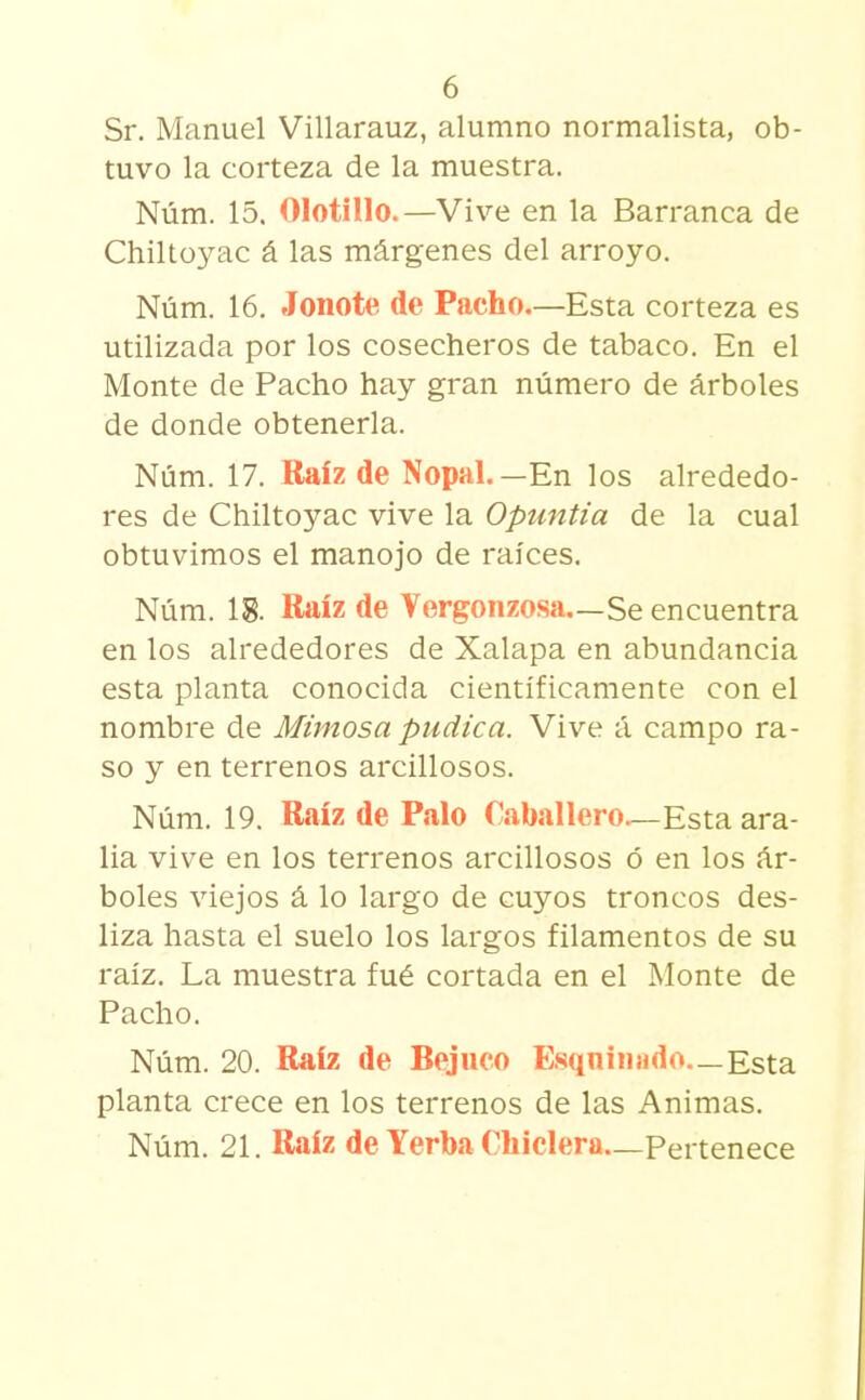 Sr. Manuel Villarauz, alumno normalista, ob- tuvo la corteza de la muestra. Núm. 15. Olotillo.—Vive en la Barranca de Chiltoyac á las márgenes del arroyo. Núm. 16. Jonote de Pacho.—Esta corteza es utilizada por los cosecheros de tabaco. En el Monte de Pacho hay gran número de árboles de donde obtenerla. Núm. 17. Raíz de Nopal.—En los alrededo- res de Chiltoyac vive la Opuntia de la cual obtuvimos el manojo de raíces. Núm. 18. Raíz de Vergonzosa—Se encuentra en los alrededores de Xalapa en abundancia esta planta conocida científicamente con el nombre de Mimosa piidica. Vive á campo ra- so y en terrenos arcillosos. Núm. 19. Raíz de Palo Caballero.—Esta ara- lia vive en los terrenos arcillosos ó en los ár- boles viejos á lo largo de cuyos troncos des- liza hasta el suelo los largos filamentos de su raíz. La muestra fué cortada en el Monte de Pacho. Núm. 20. Raíz de Bejuco Esqniii»do—Esta planta crece en los terrenos de las Animas. Núm. 21. Raíz de Yerba Chiclera—Pertenece